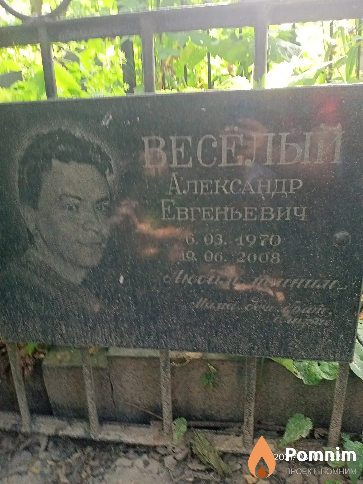Веселый Александр Евгеньевич