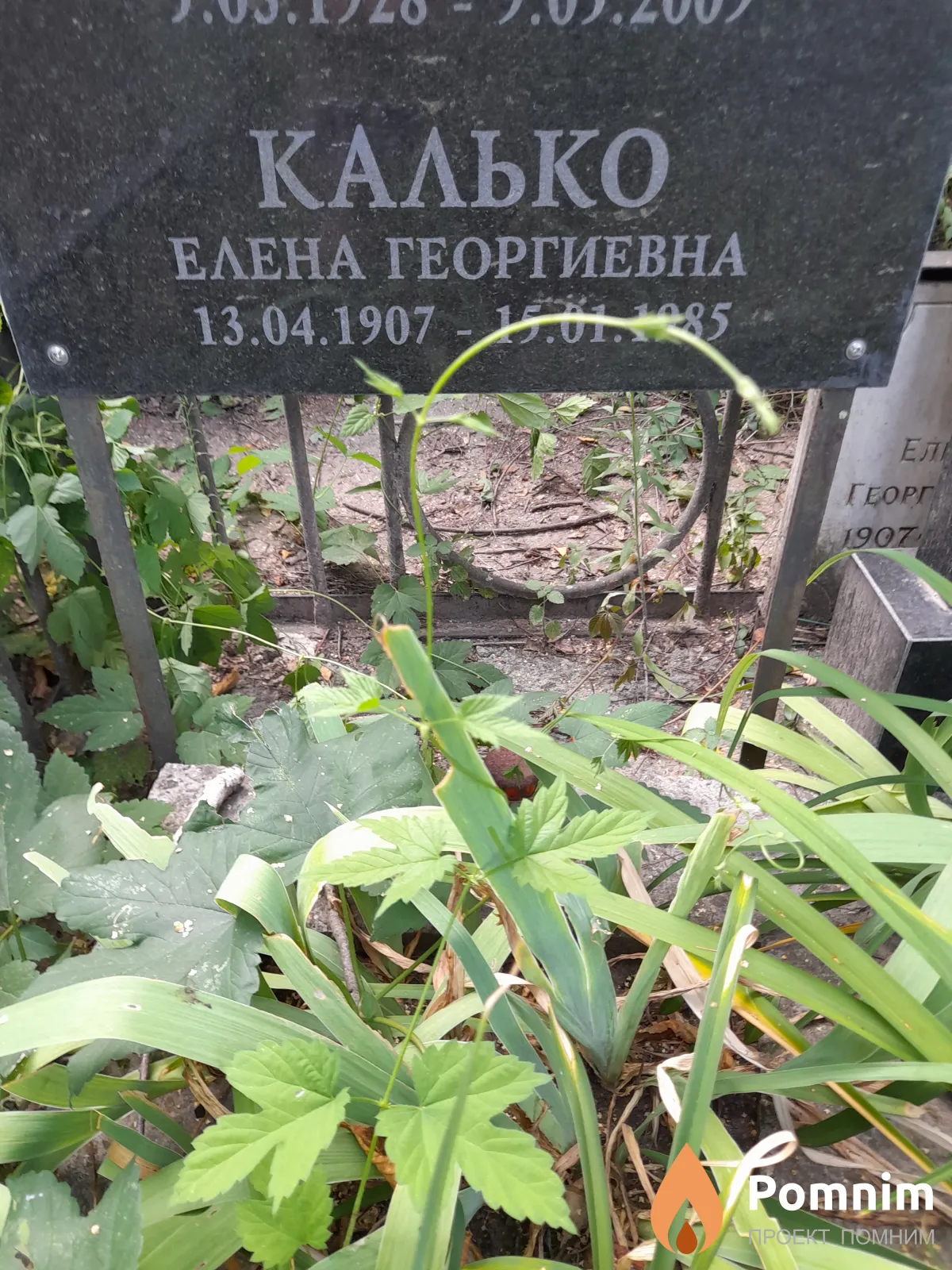 Калько Елена Георгиевна