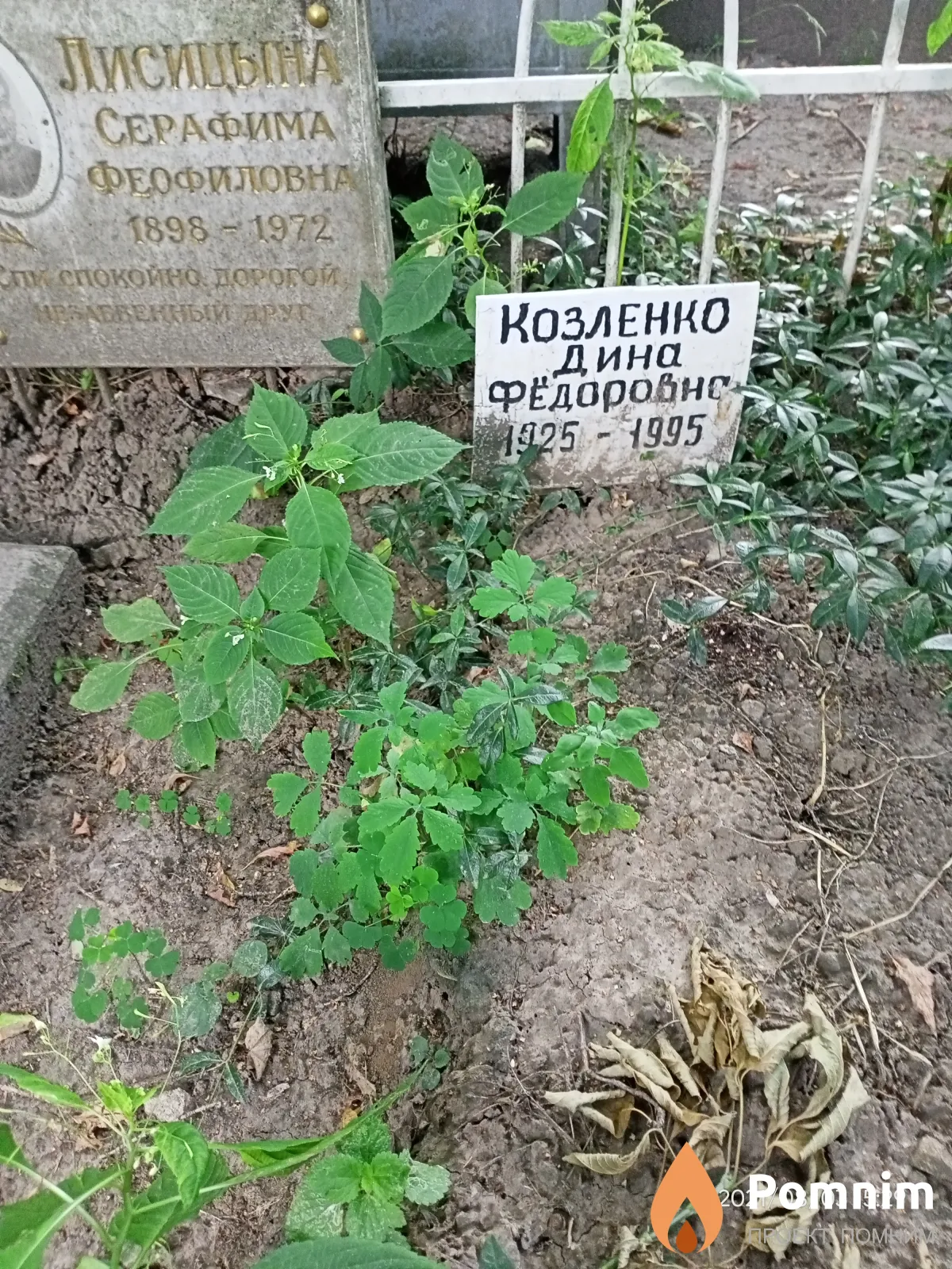 Козленко Дина Федоровна