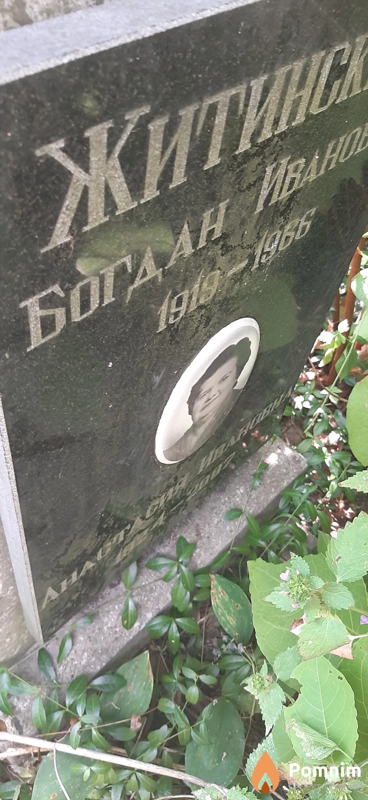 Житинская Анастасия Ивановна