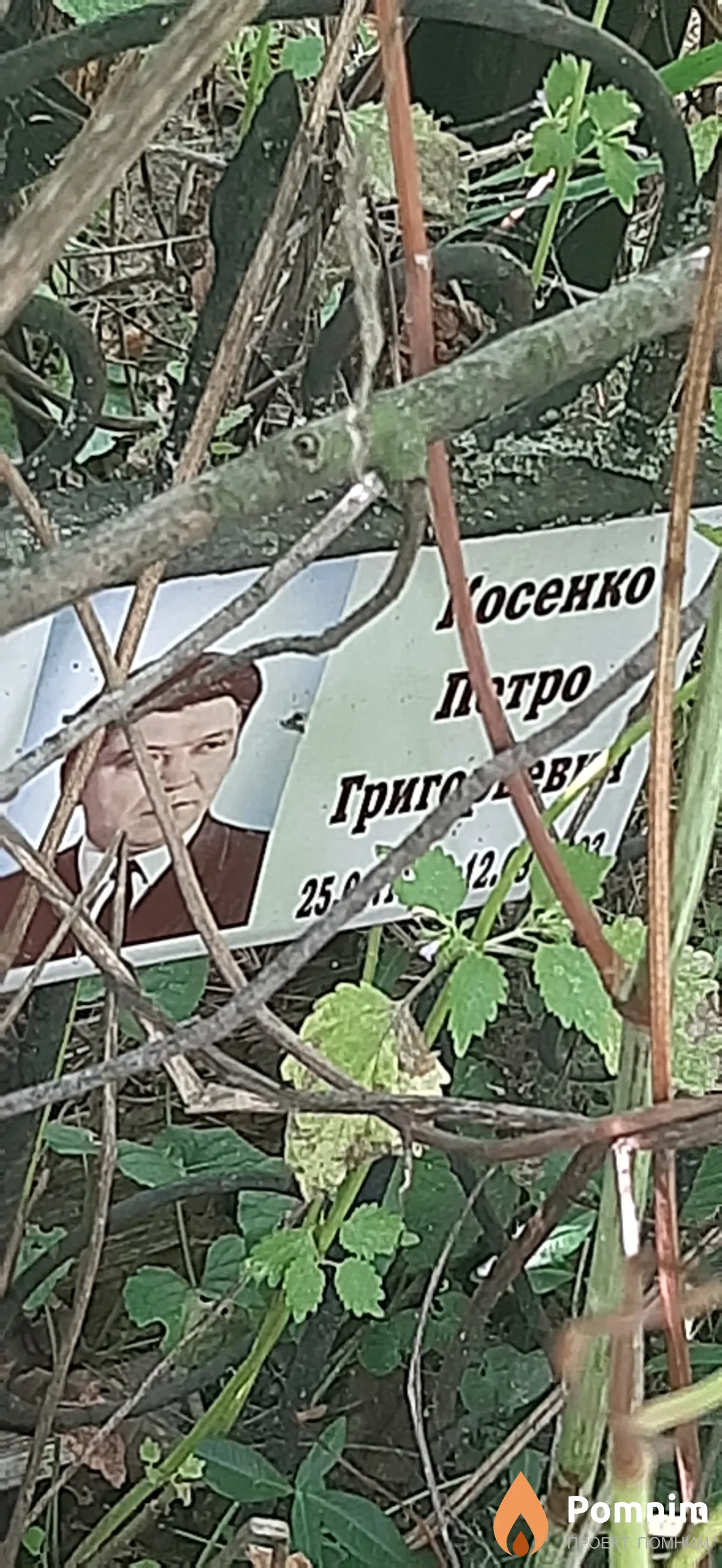 Косенко Петр Григорьевич