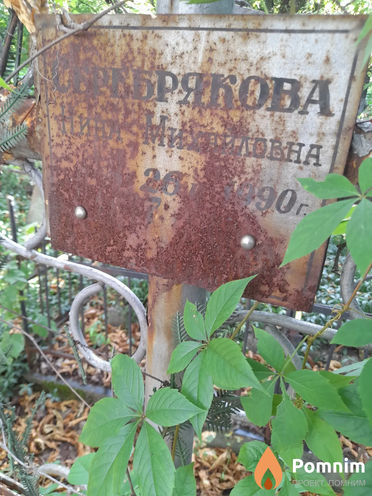 Серебрякова Нина Михайловна