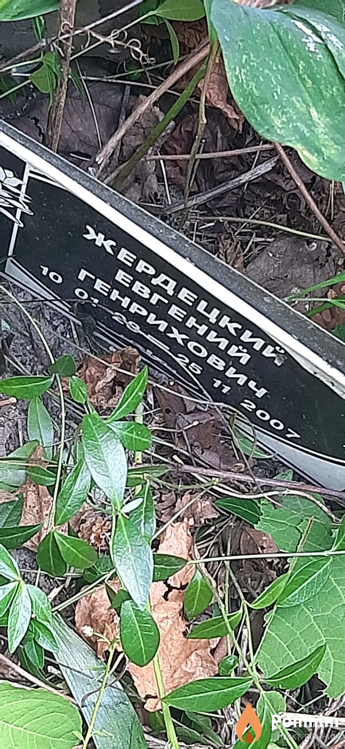 Жердецкий Евгений Генрихович