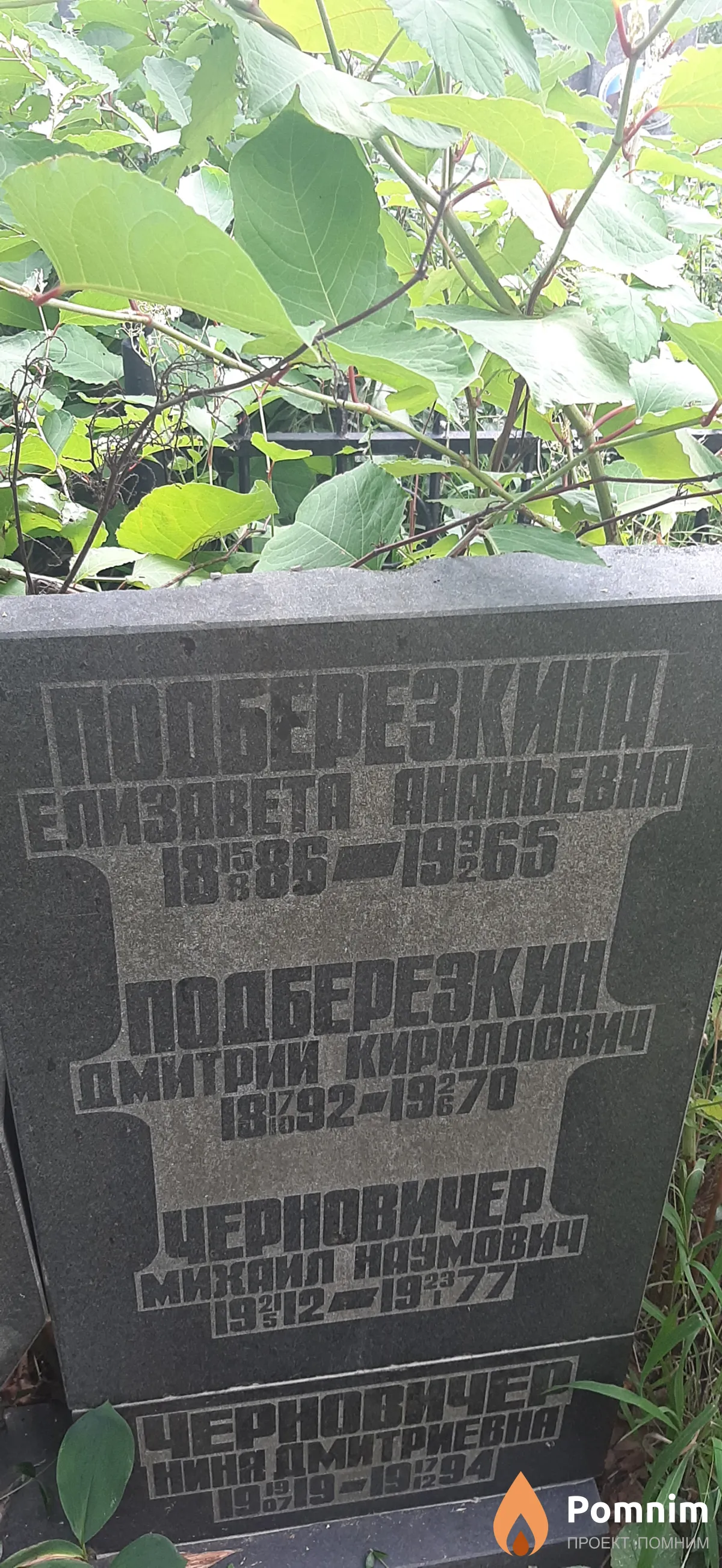 Подберезкина Елизавета Ананьевна