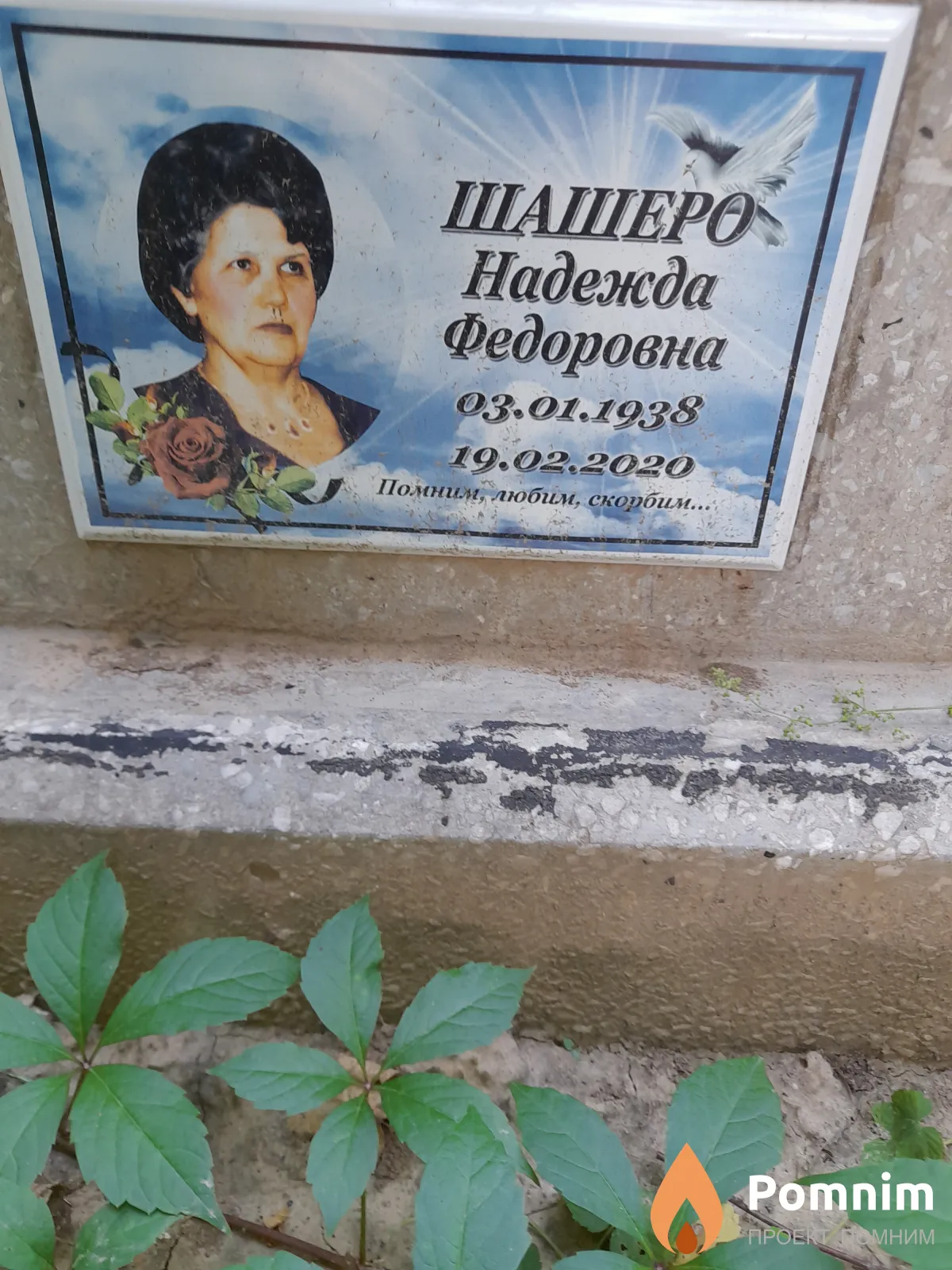 Шашерө Надежда Федоровна