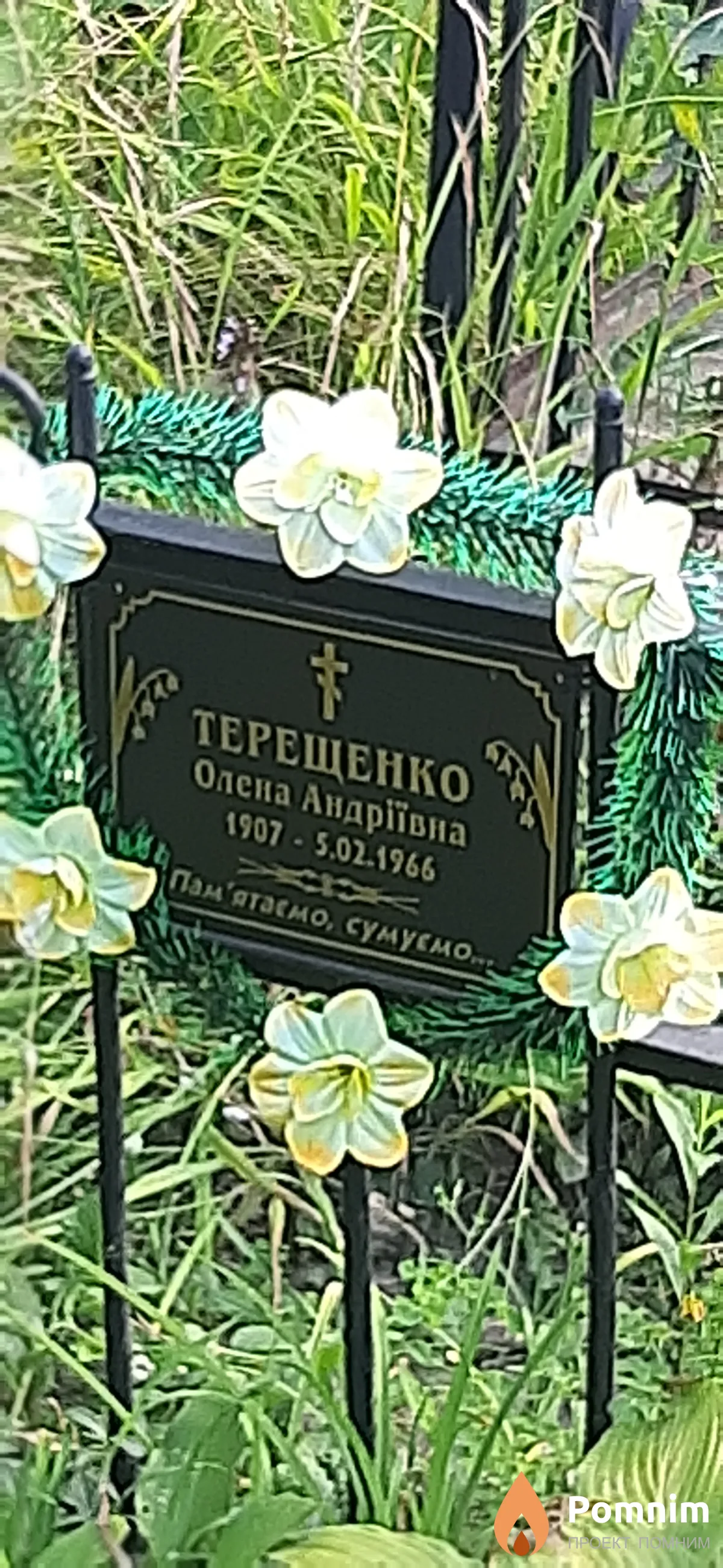 Терещенко Алёна Андреевна