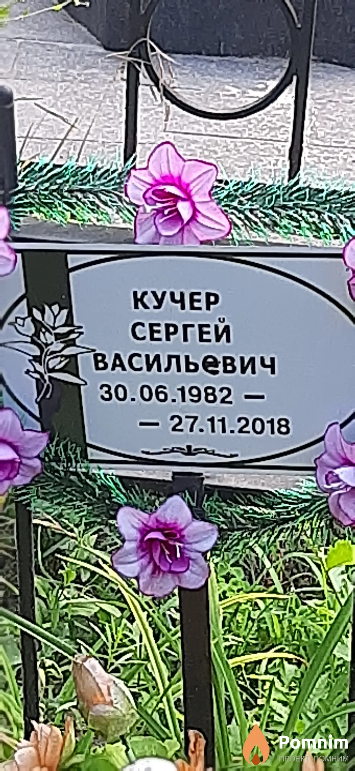 Кучер Сергей Васильевич