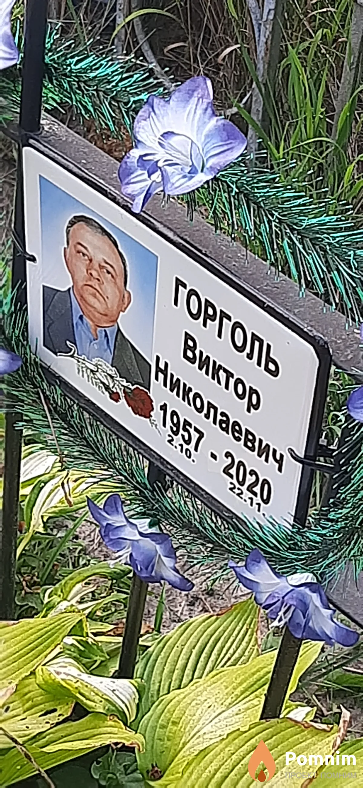 Горголь Виктор Николаевич
