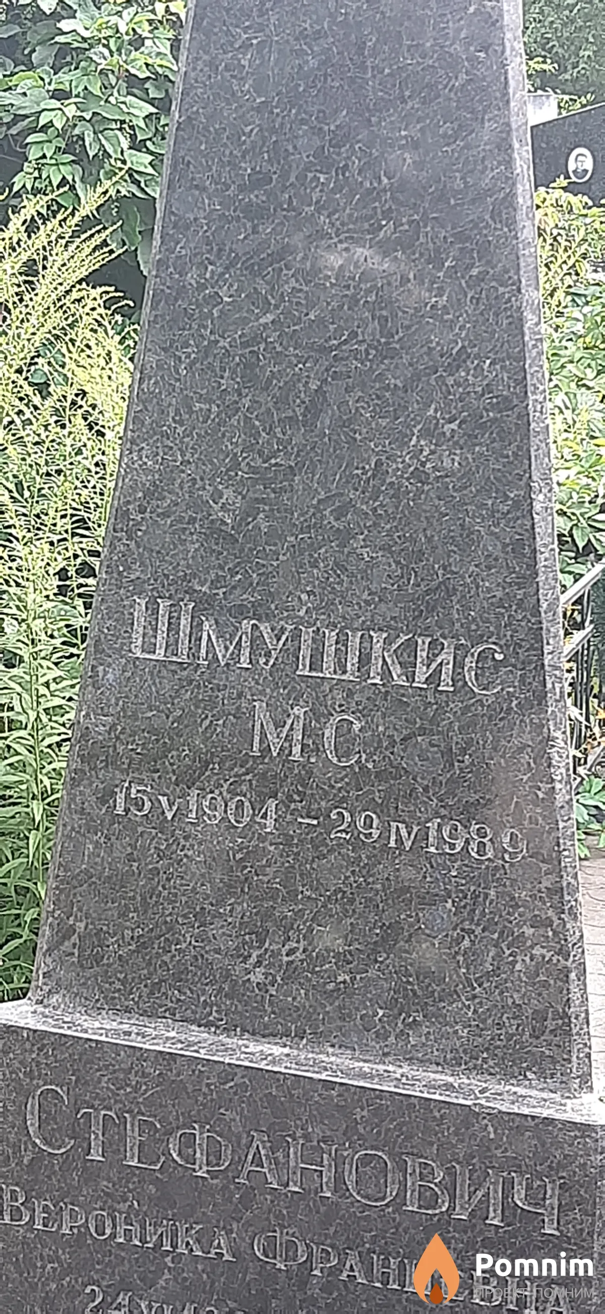 Шмушкис М. С.