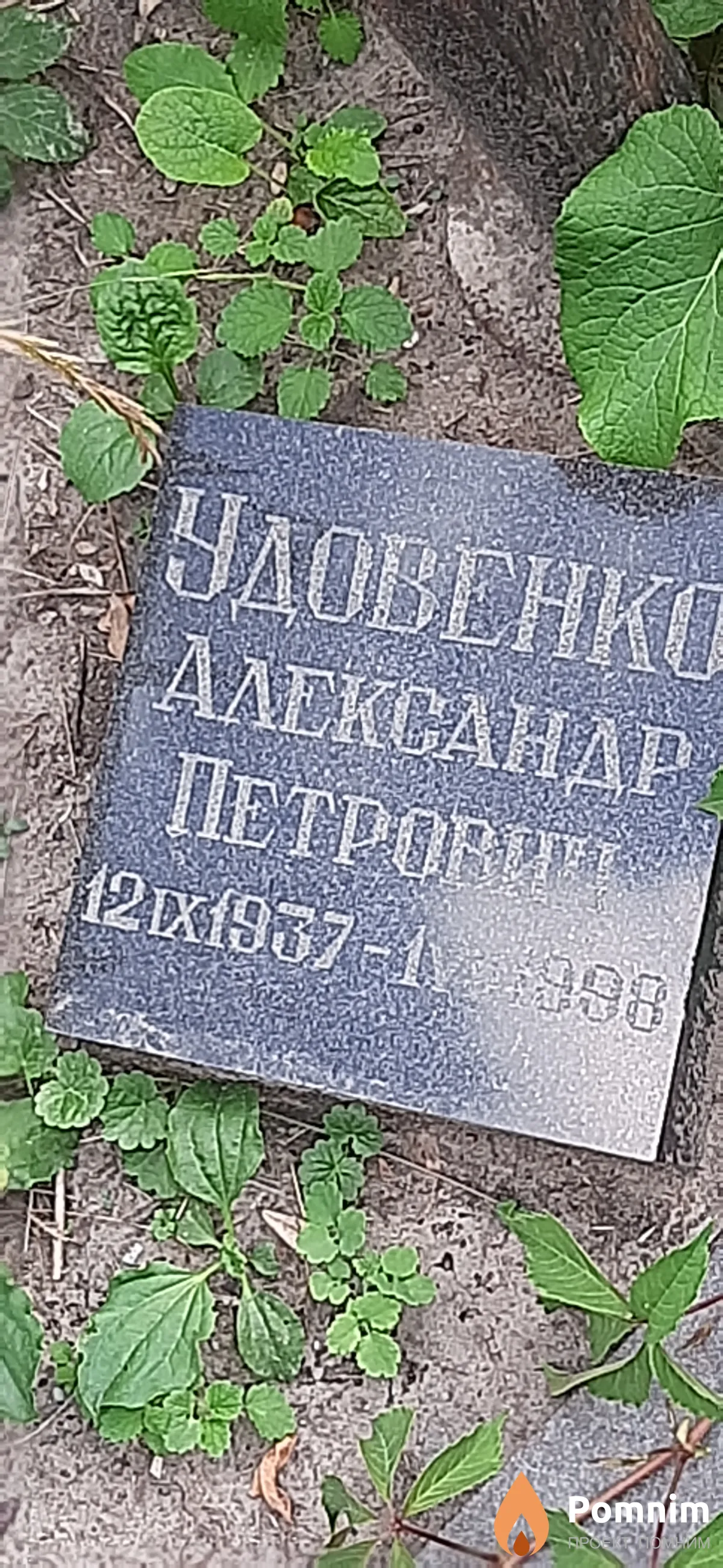 Удовенко Александр Петрович