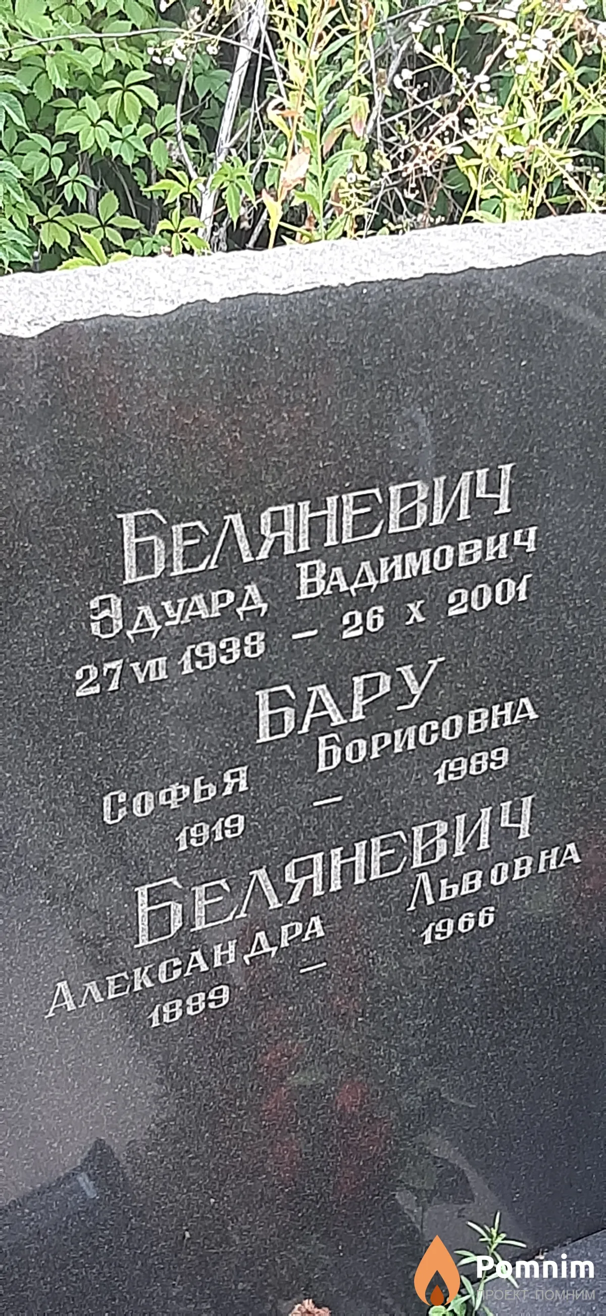 Беляневич Эдуард Александра