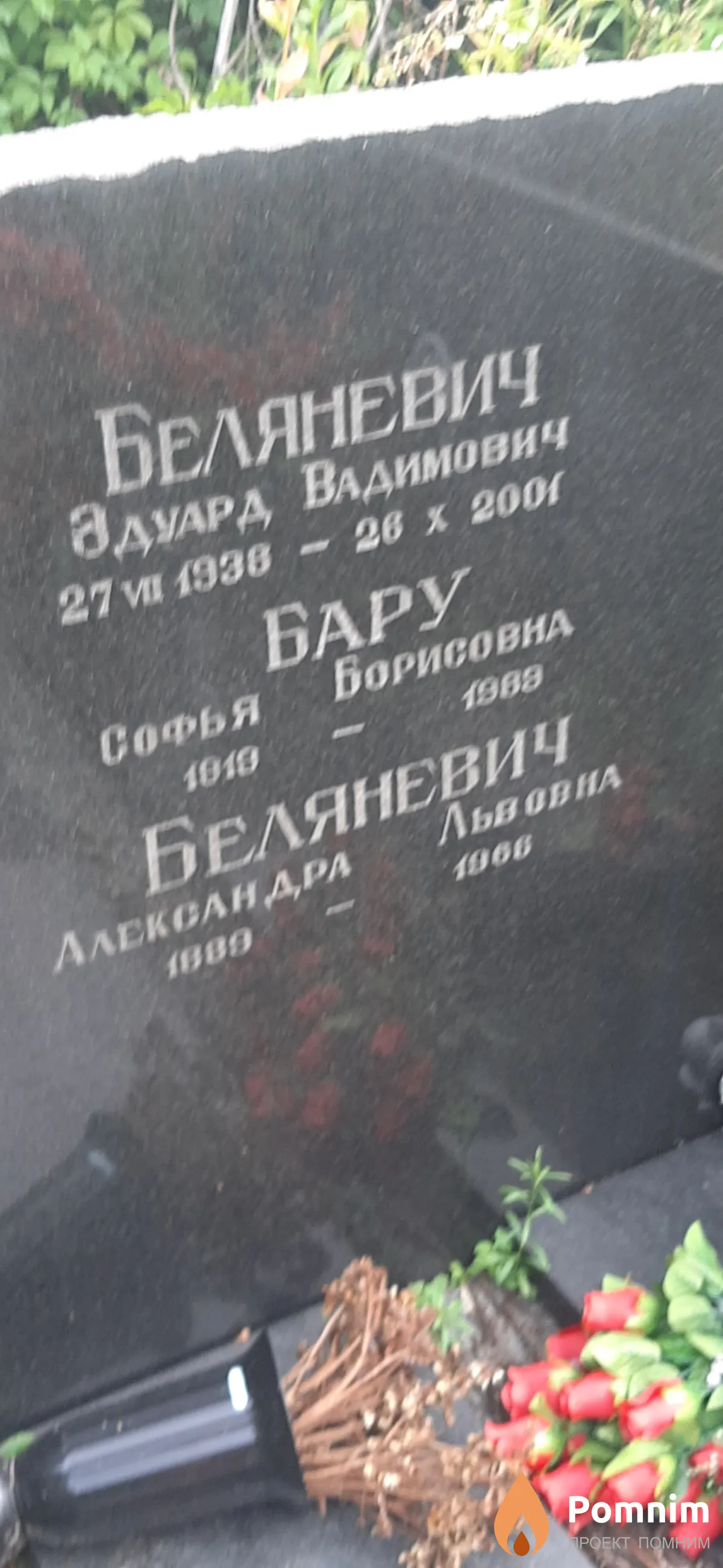 Беляневич Александра Вадимович