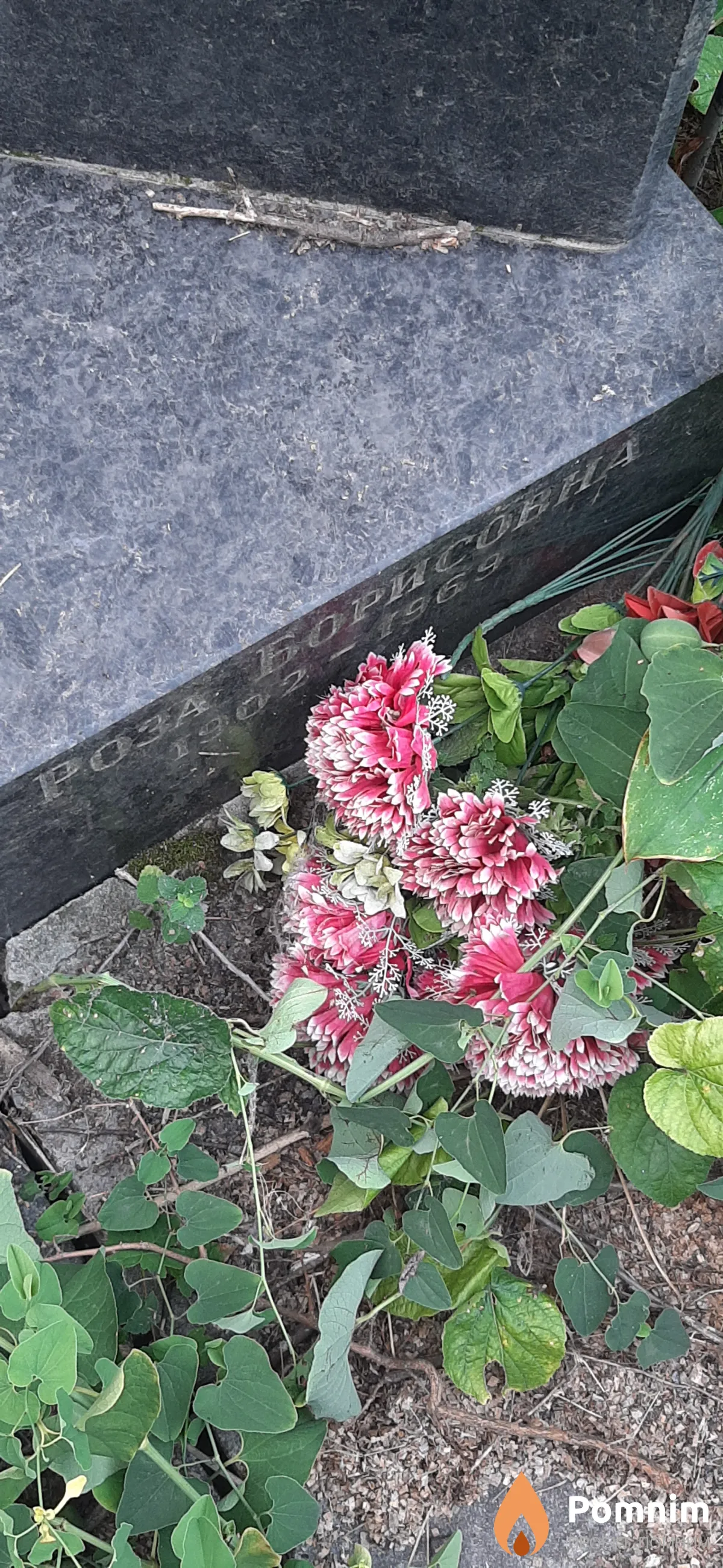 Соснова Роза Борисовна