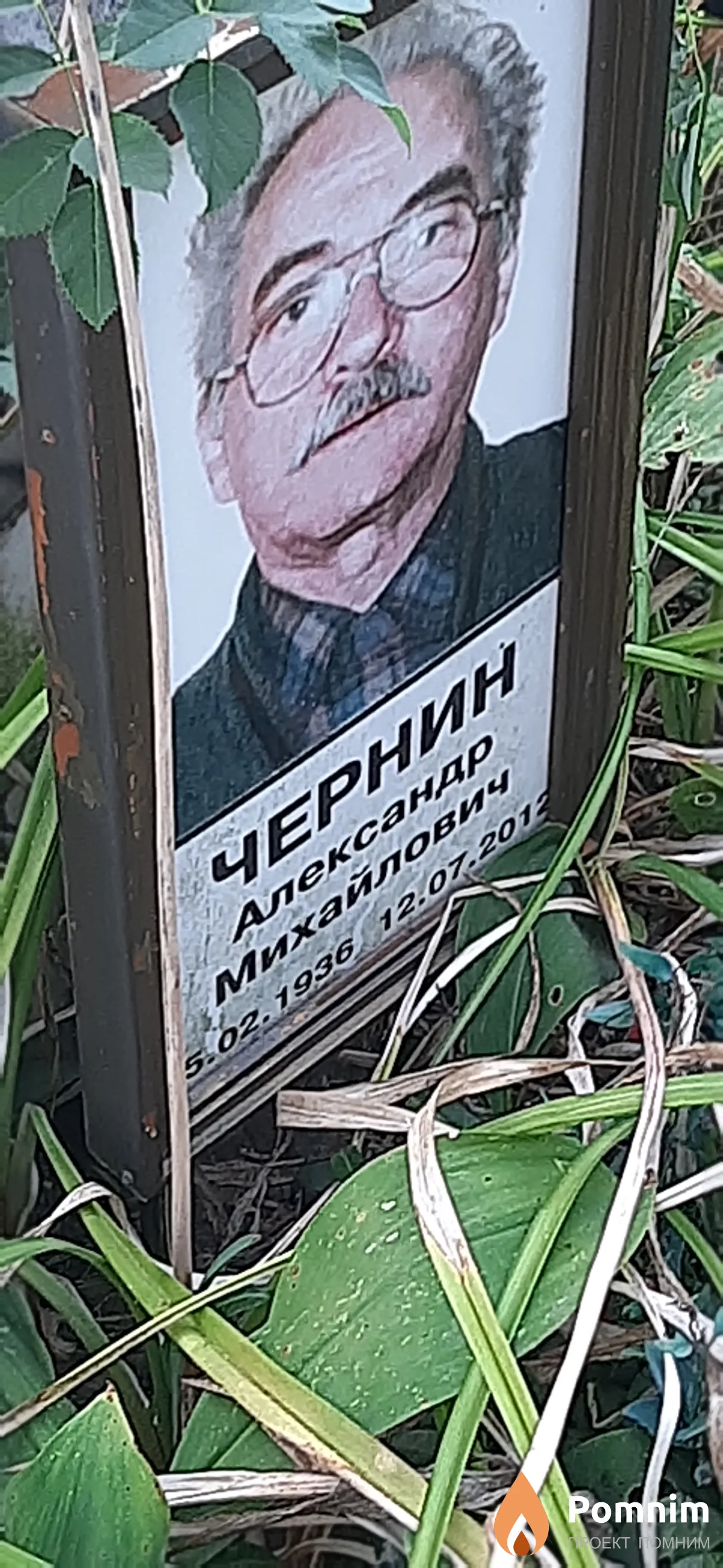 Чернин Александр Михайлович
