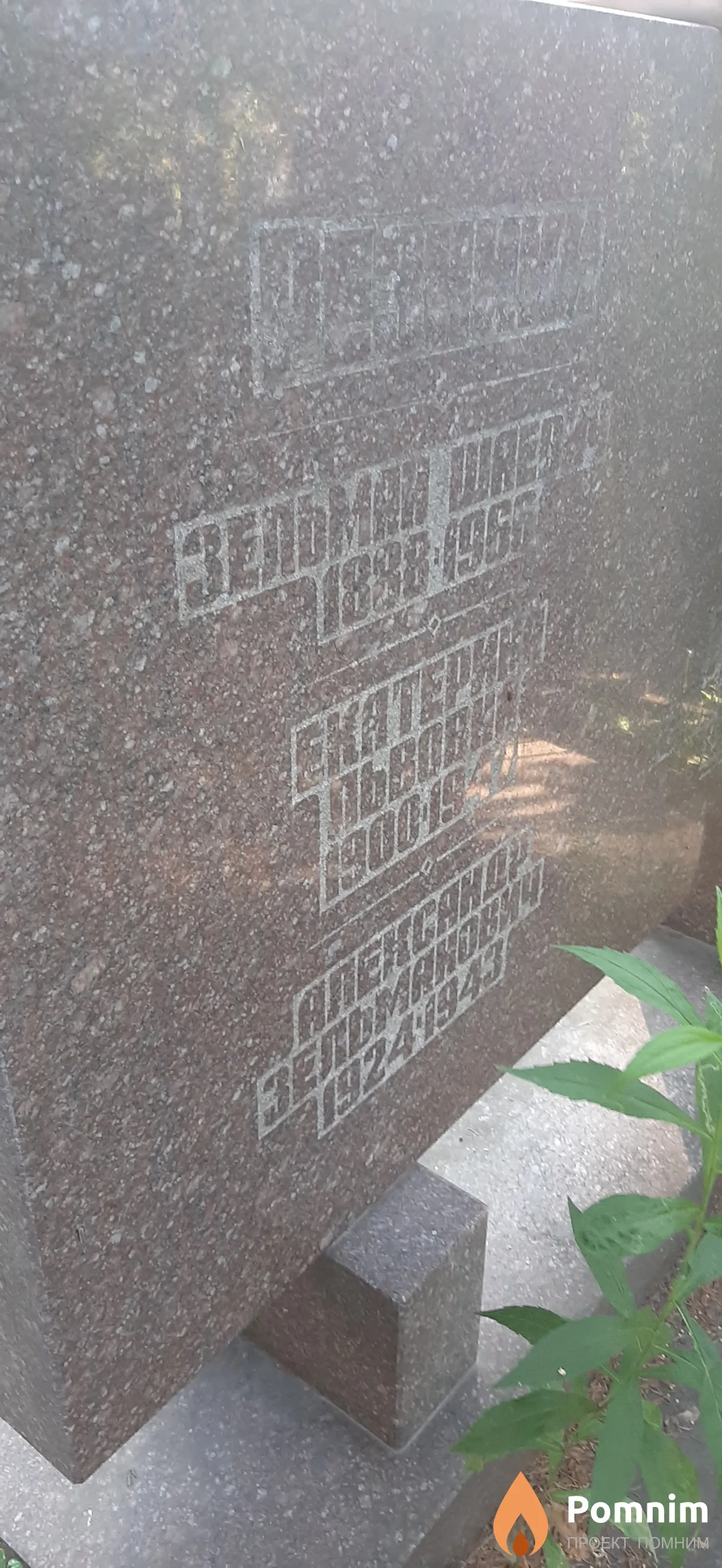 Резник Александр Зельманович