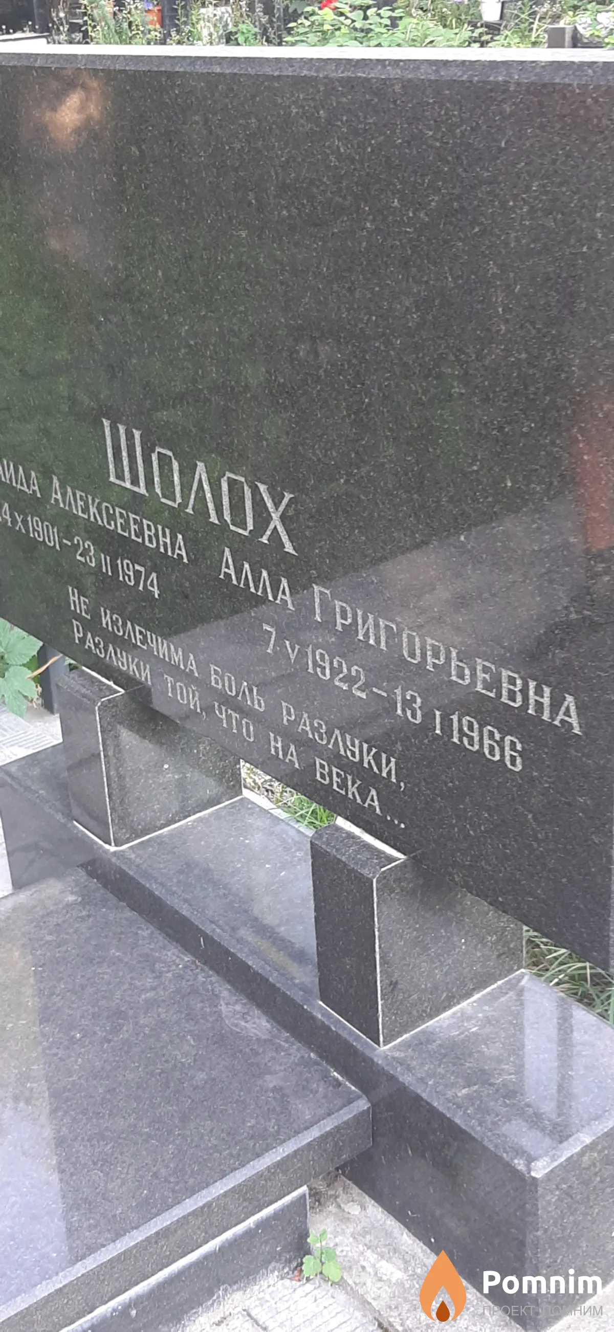 Шолох Алла Григорьевна