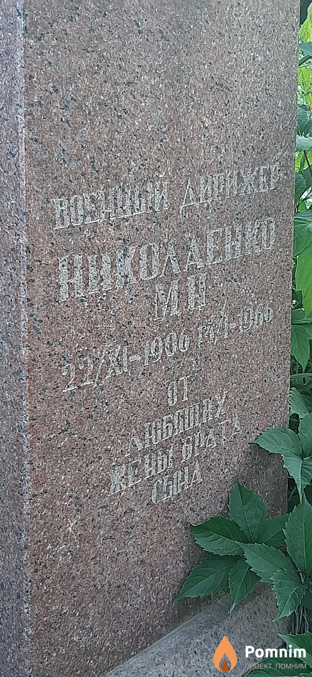 Николаенко М. Н.