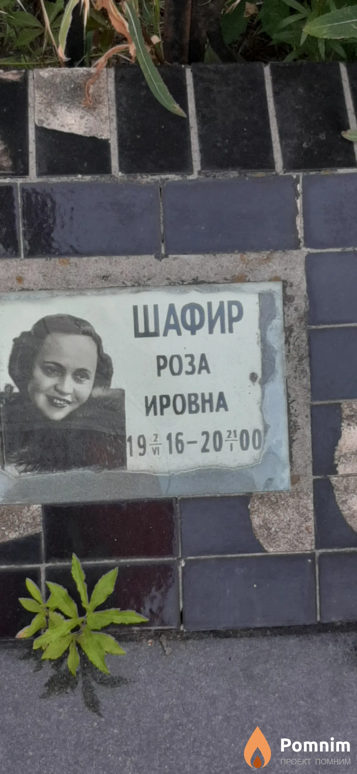 Шафир Роза Ировна