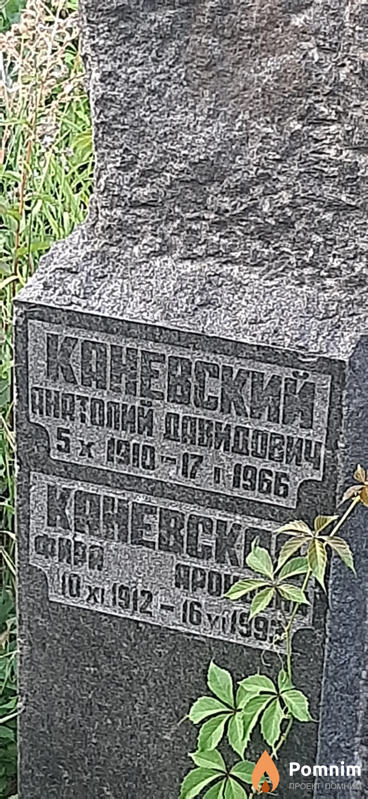 Каневский Анатолий Давидович