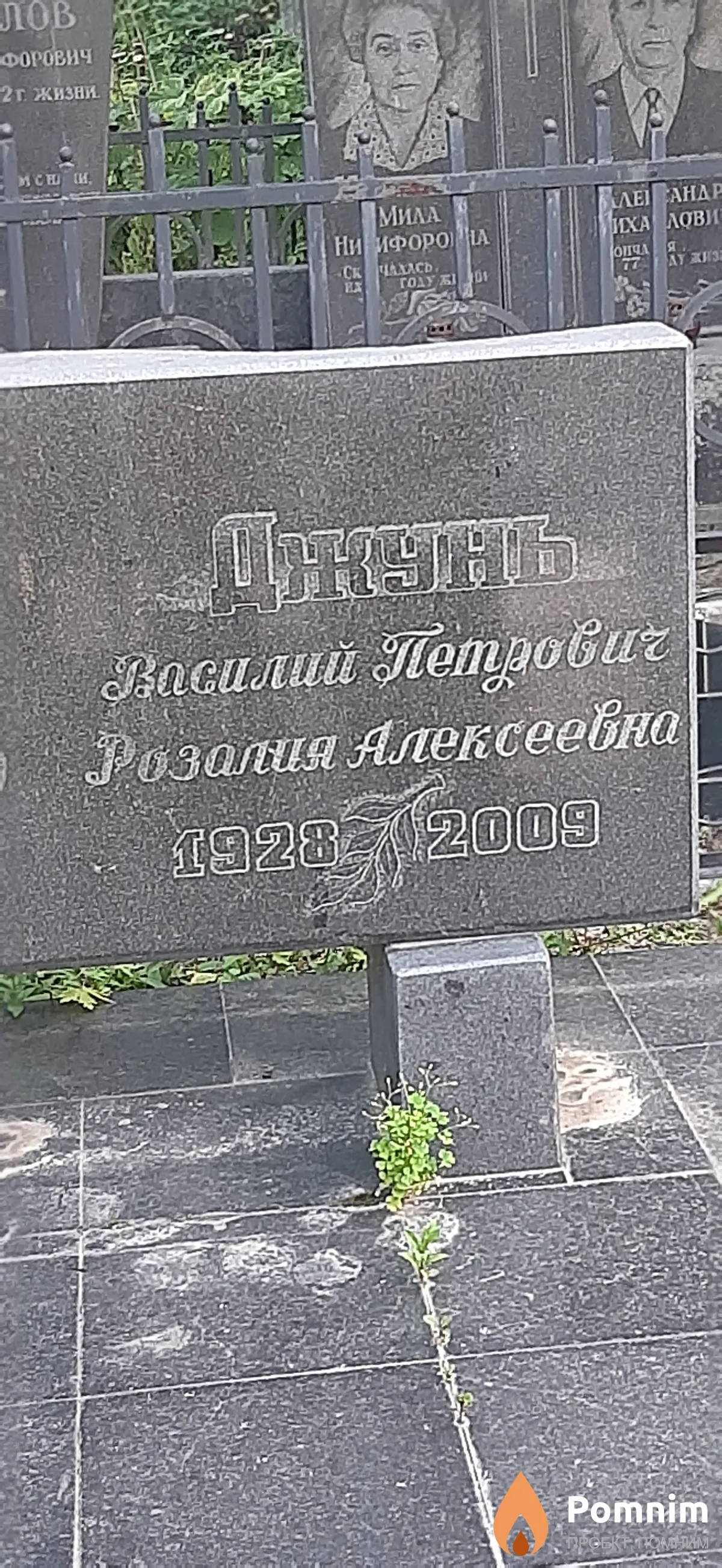 Джуль Василий Петрович