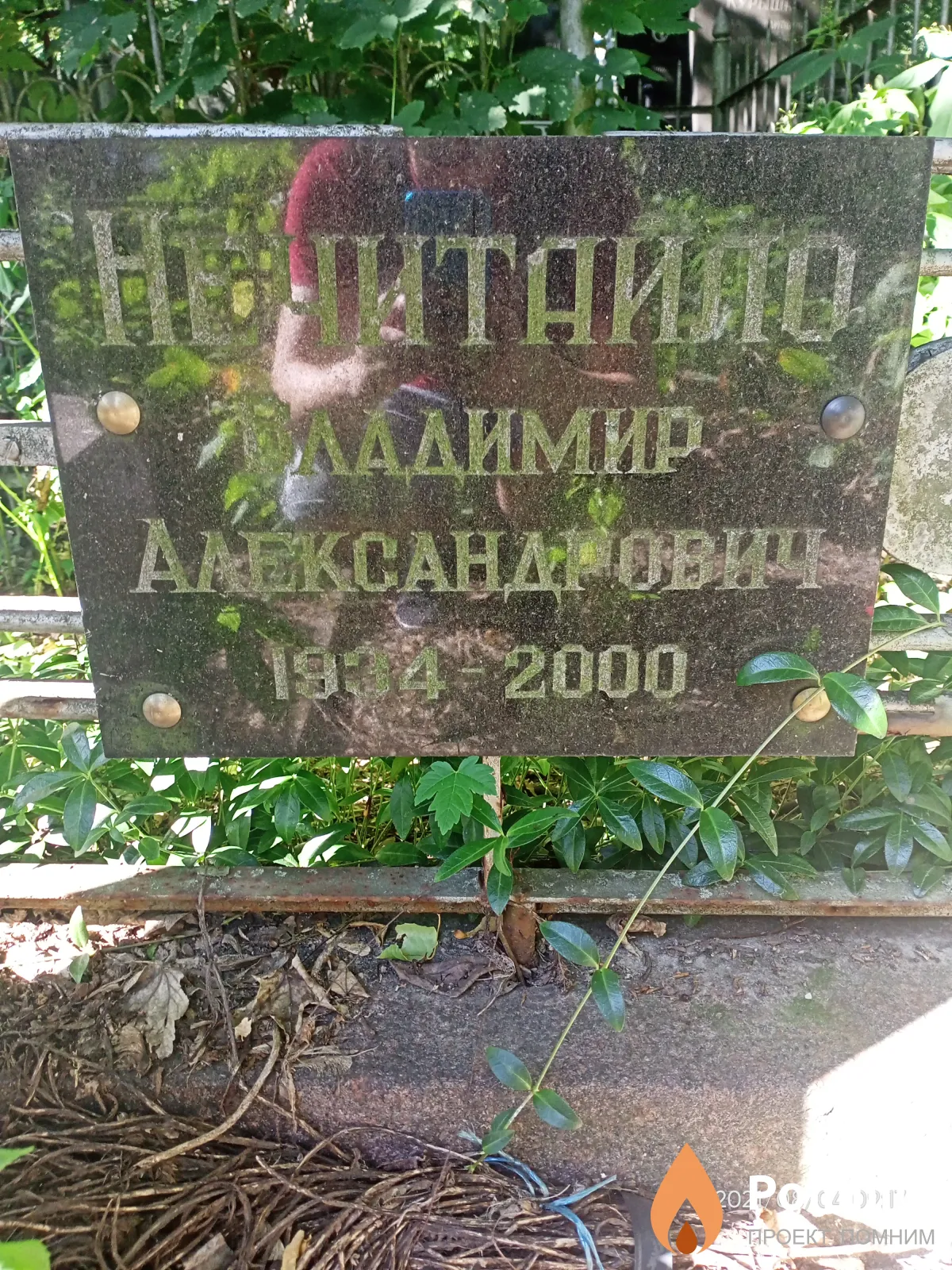 Нечитайло Владимир Александрович