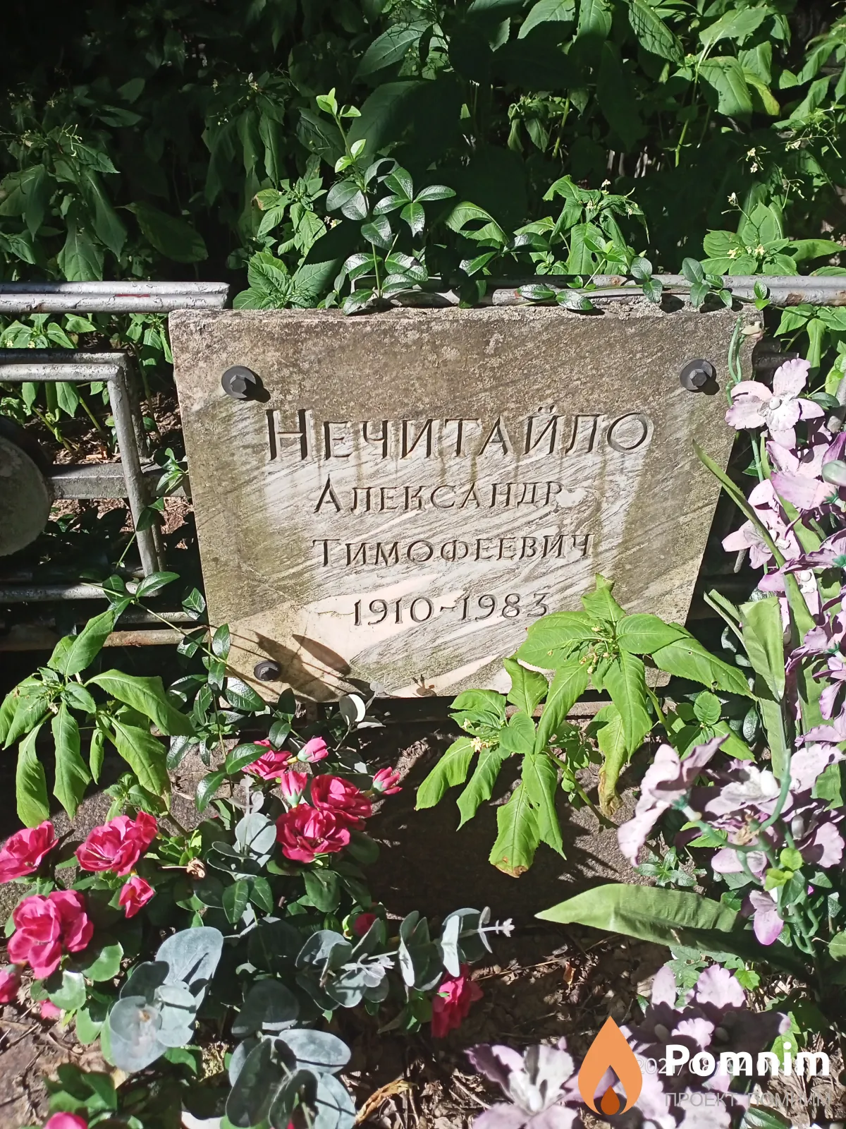 Нечитайло Александр Тимофеевич
