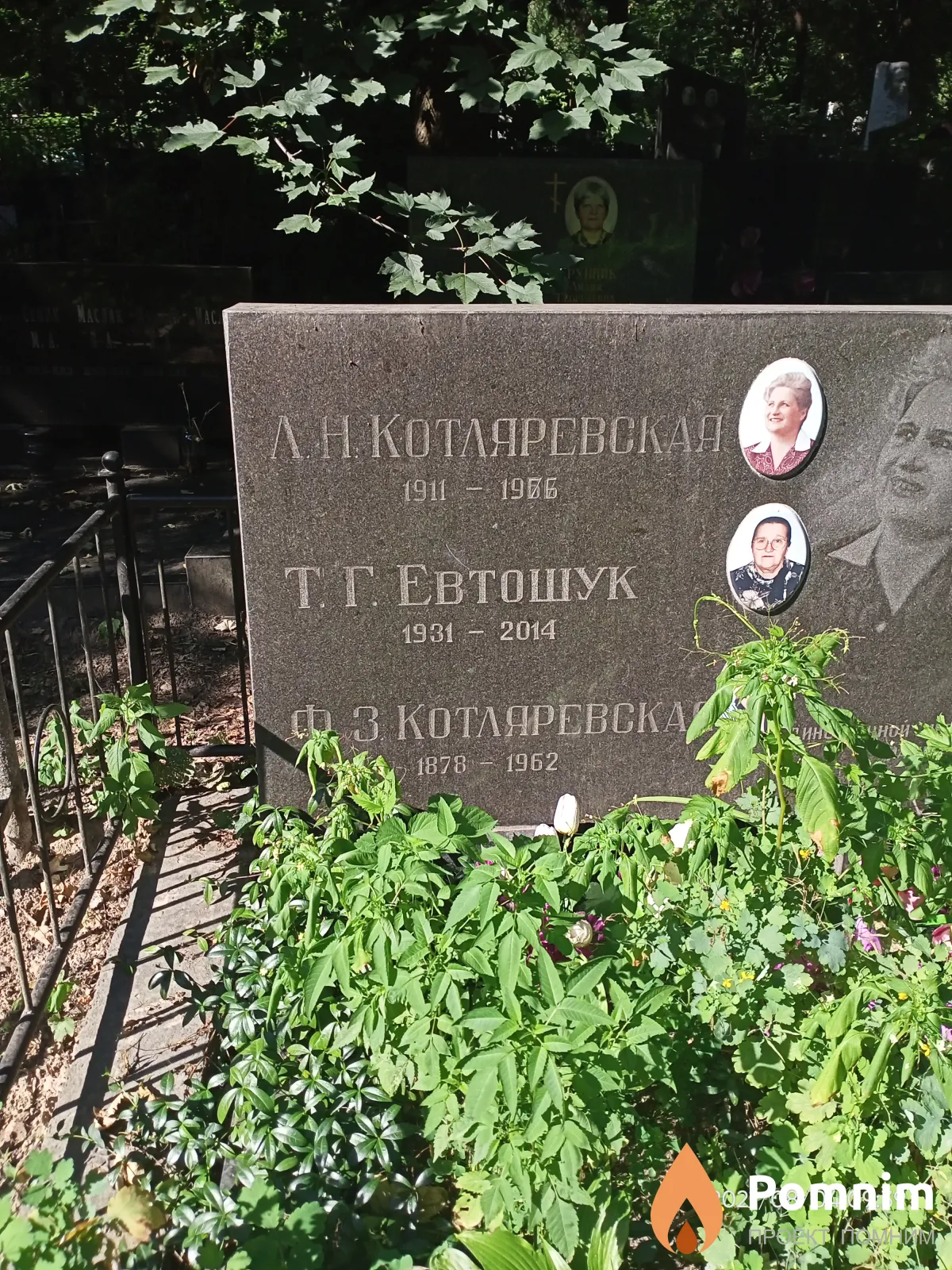 Евтошук Т. Г.