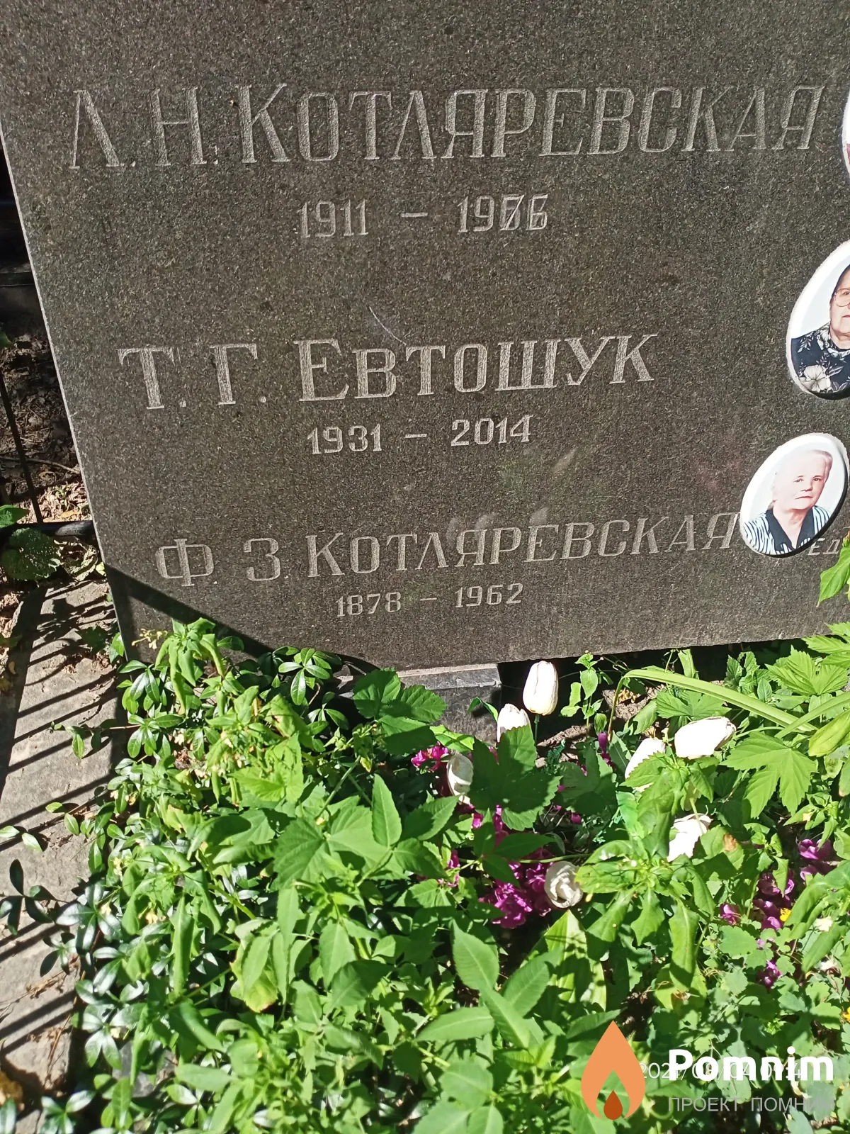 Котляревская Ф. З.
