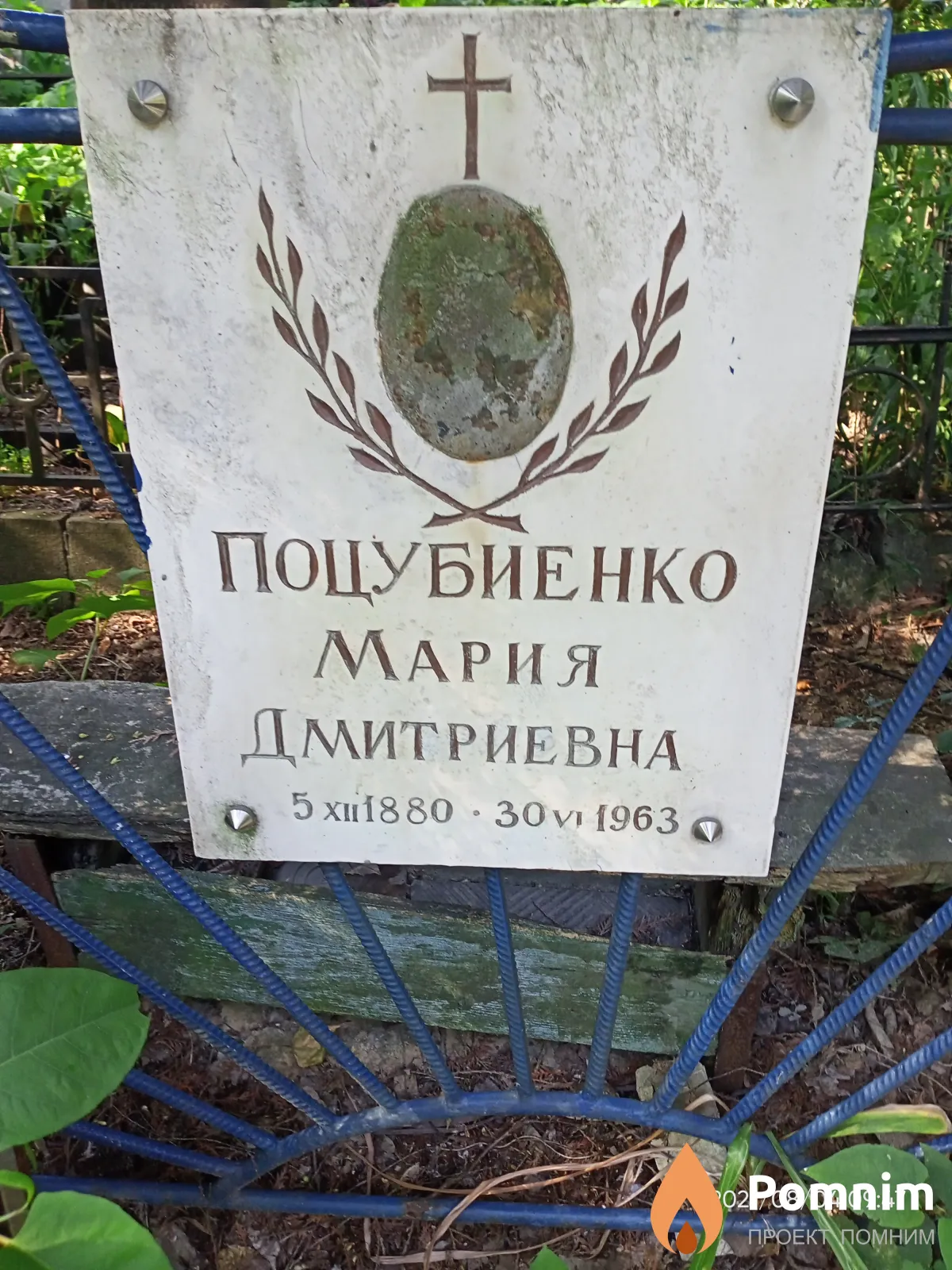 Поцубиенко Мария Дмитриевна