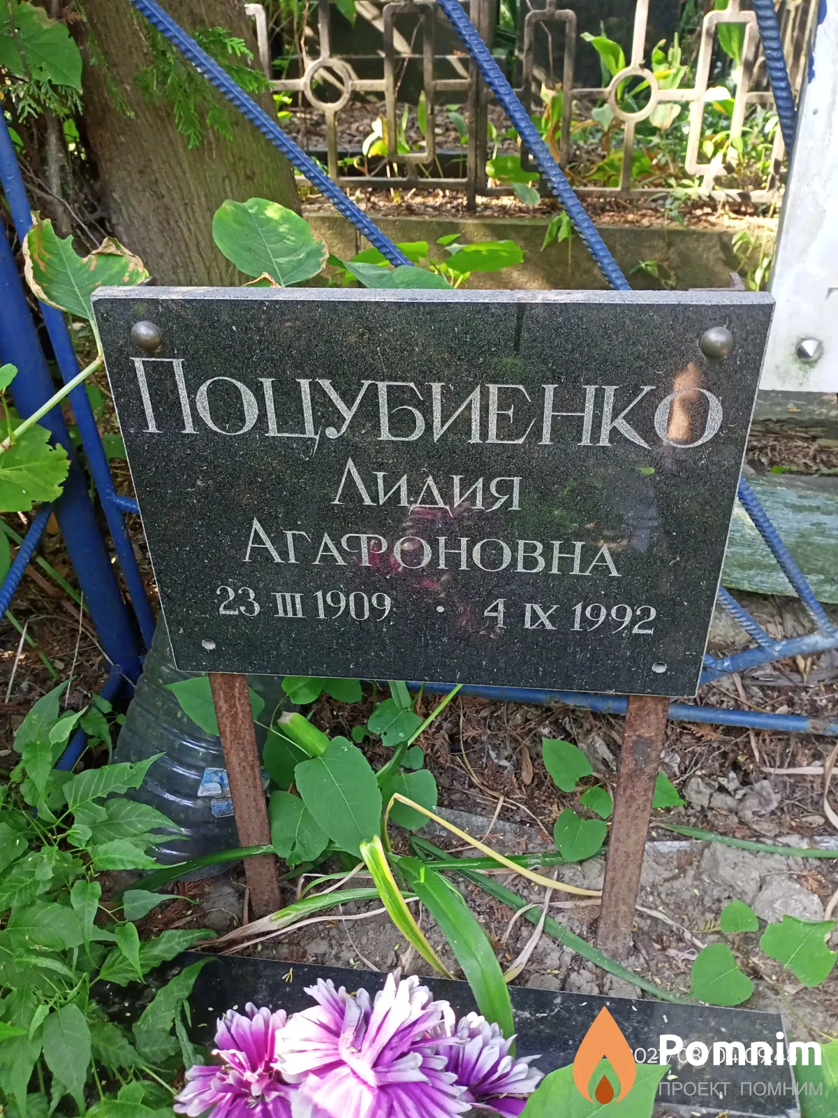 Поцубиенко Лидия Агафоновна