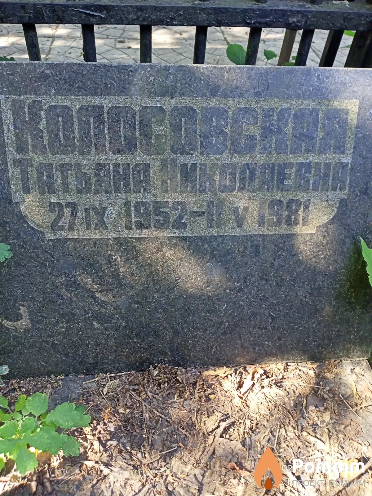 Колосовская Татьяна Николаевна