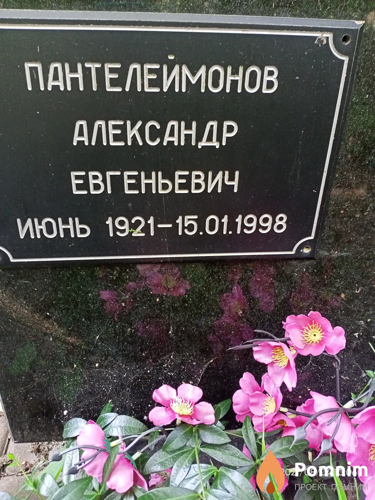 Пантелеймонов Александр Евгеньевич
