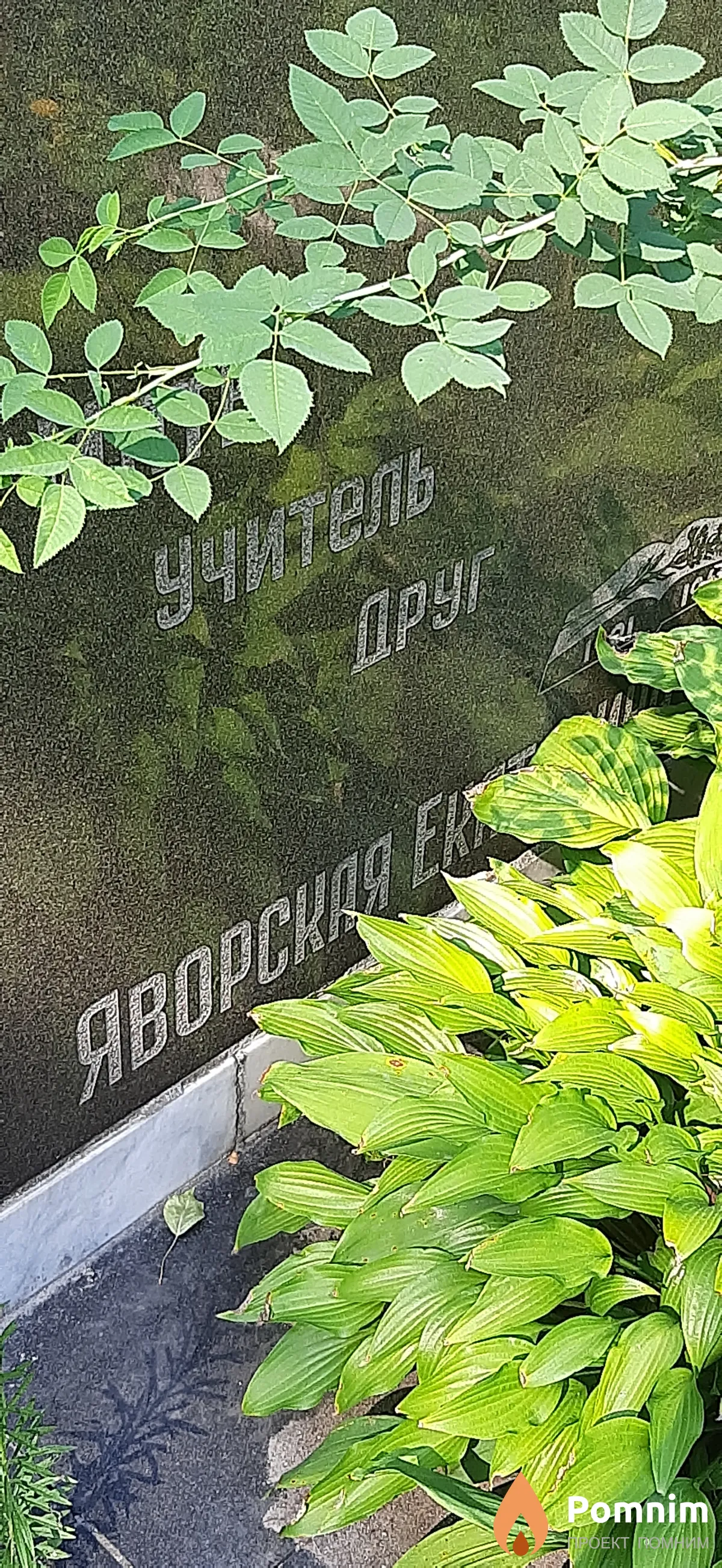 Яворская Екатерина Павловна