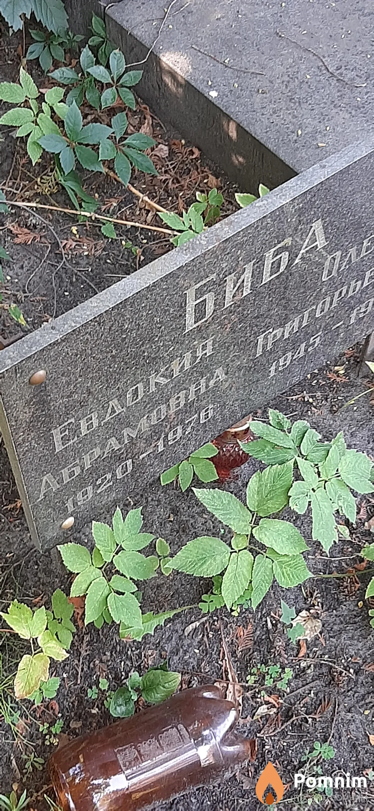 Биба Евдокия Абрамовна