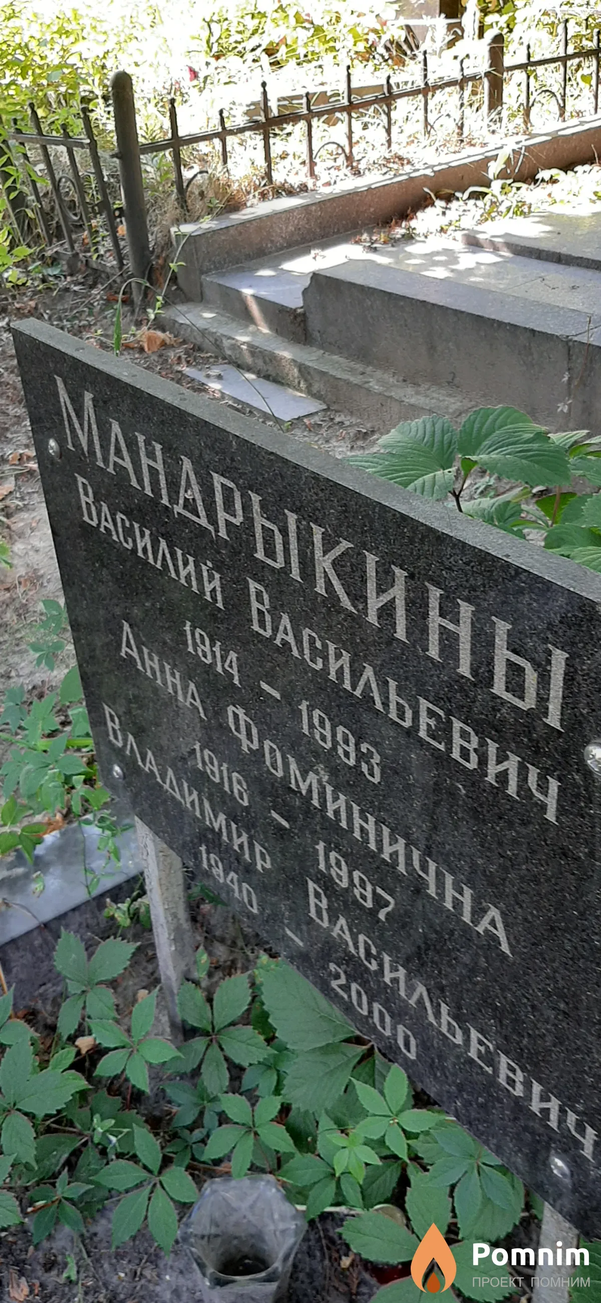 Мандрыкины Василий Васильевич