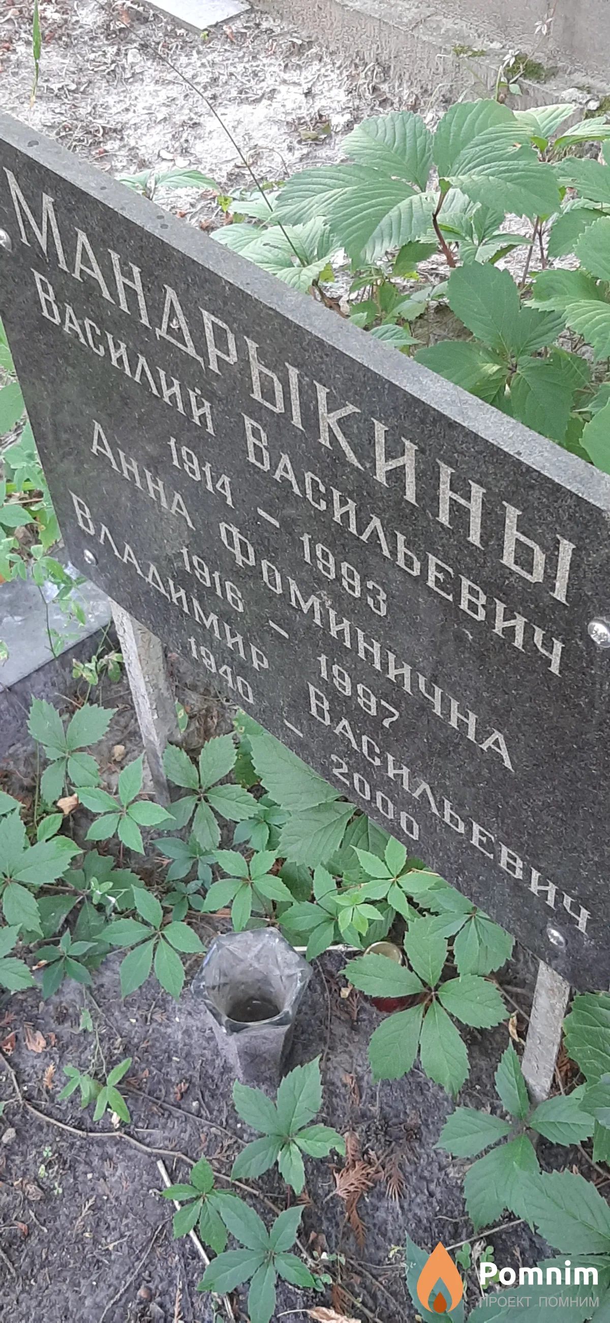 Мандрыкина Анна Фоминична
