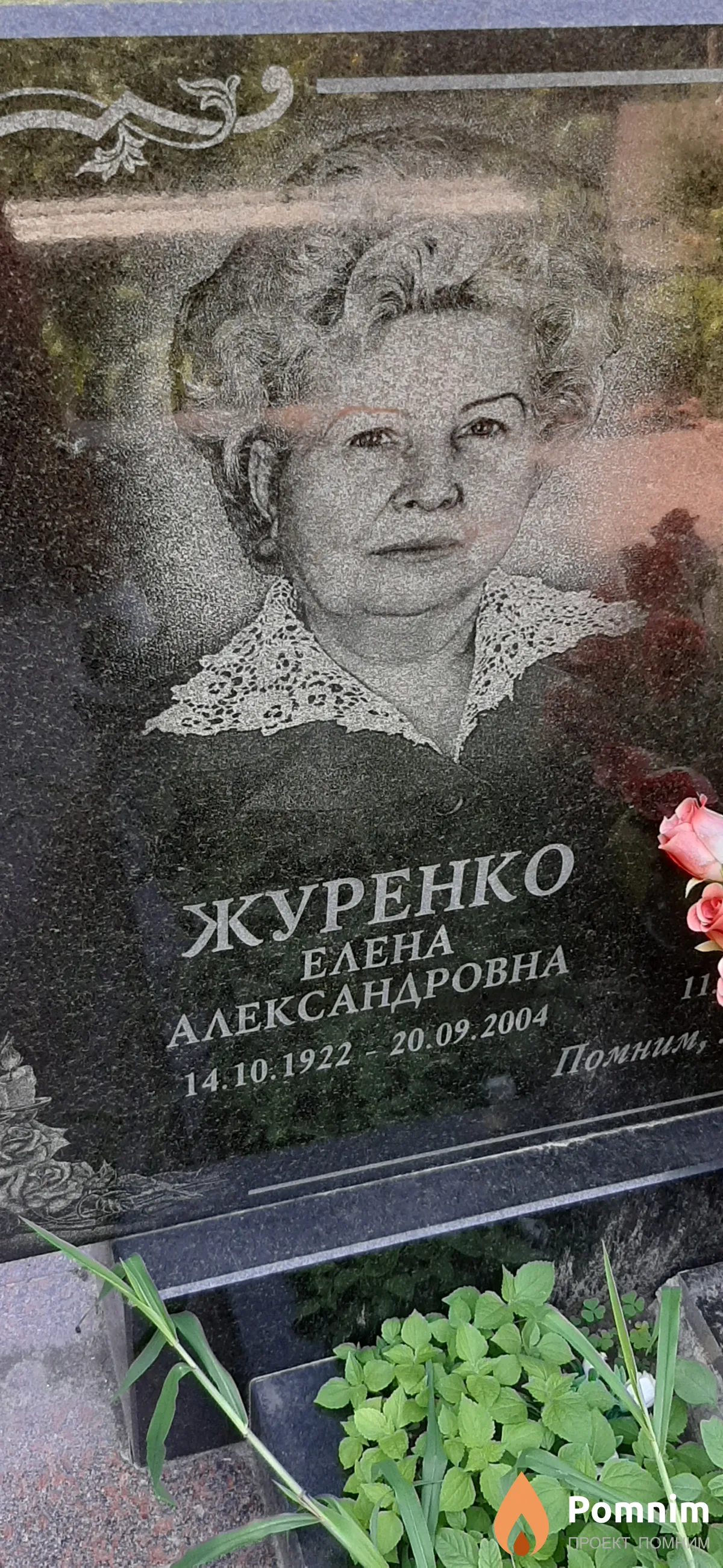 Журенко Елена Александровна