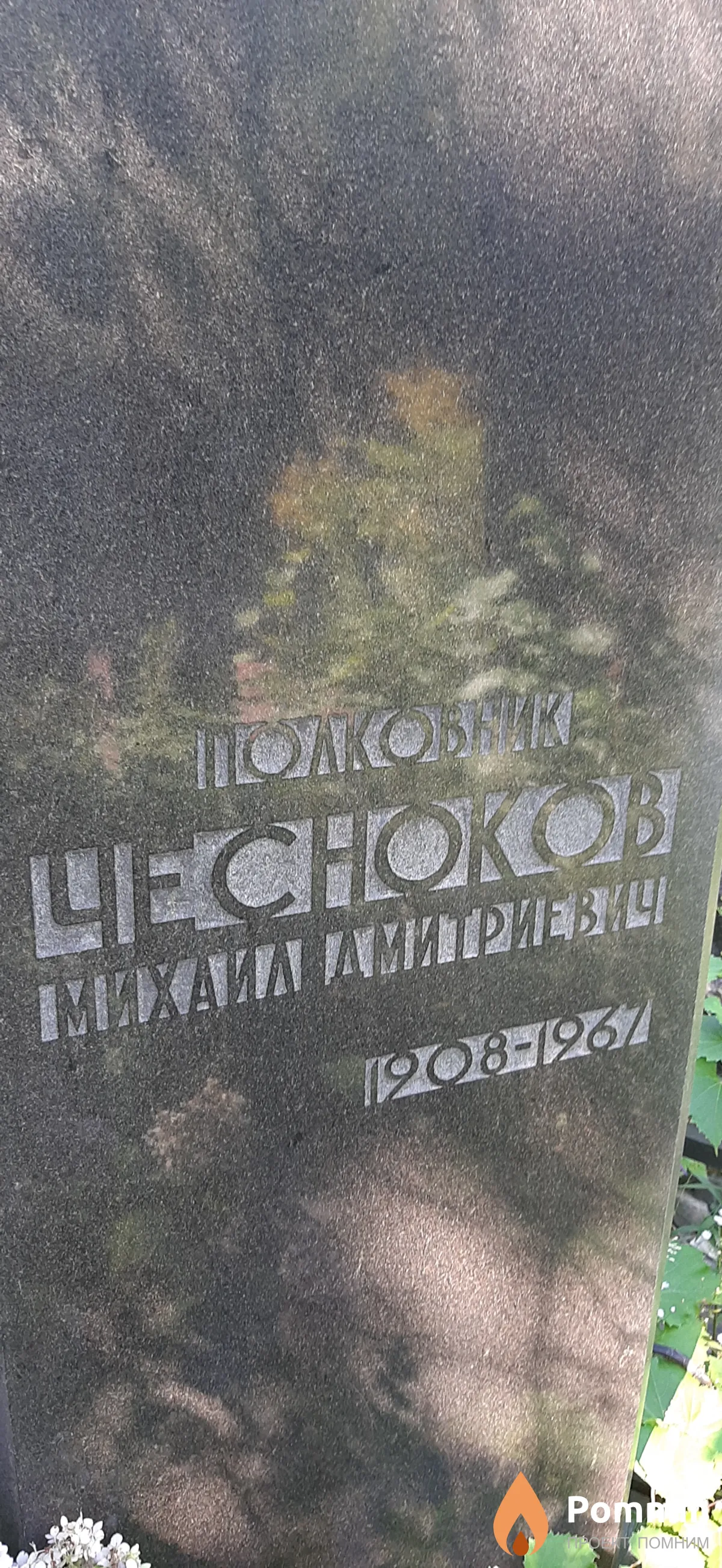 Чесноков Михаил Димитриевич