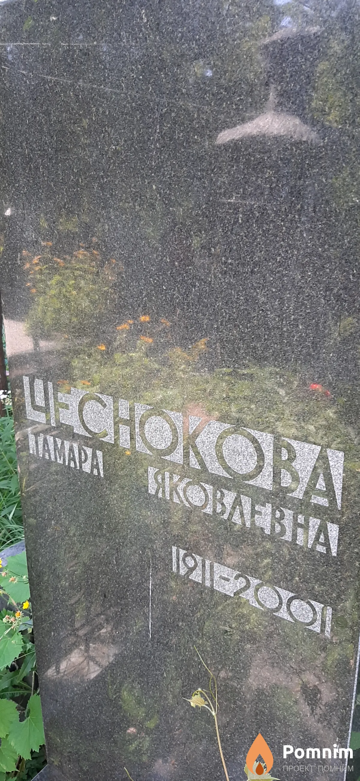 Чеснокова Тамара Яковлевна