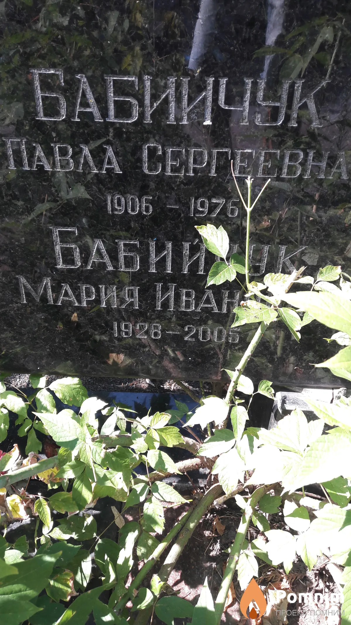 Бабийчук Павла Сергеевна