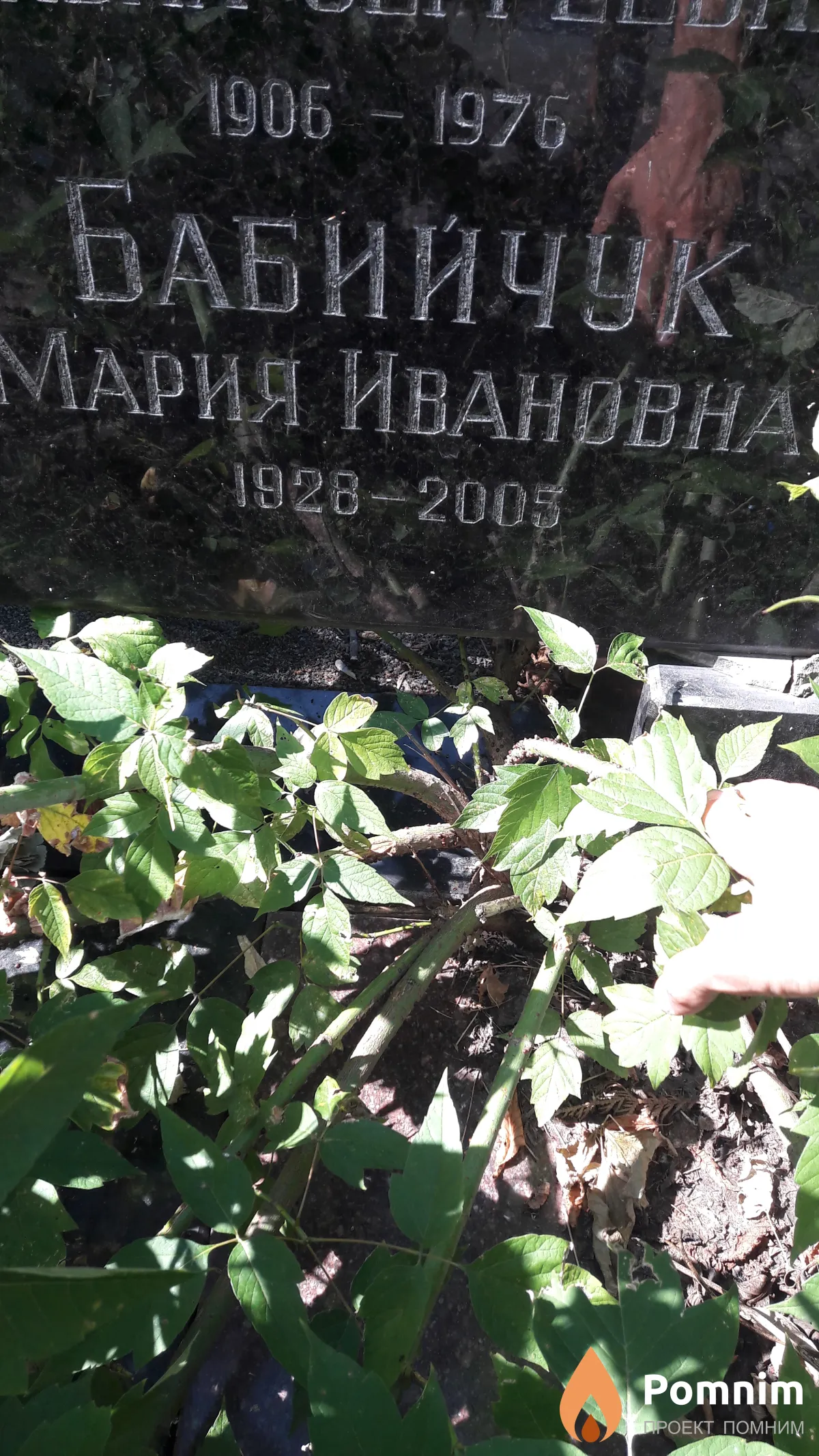 Бабийчук Мария Ивановна