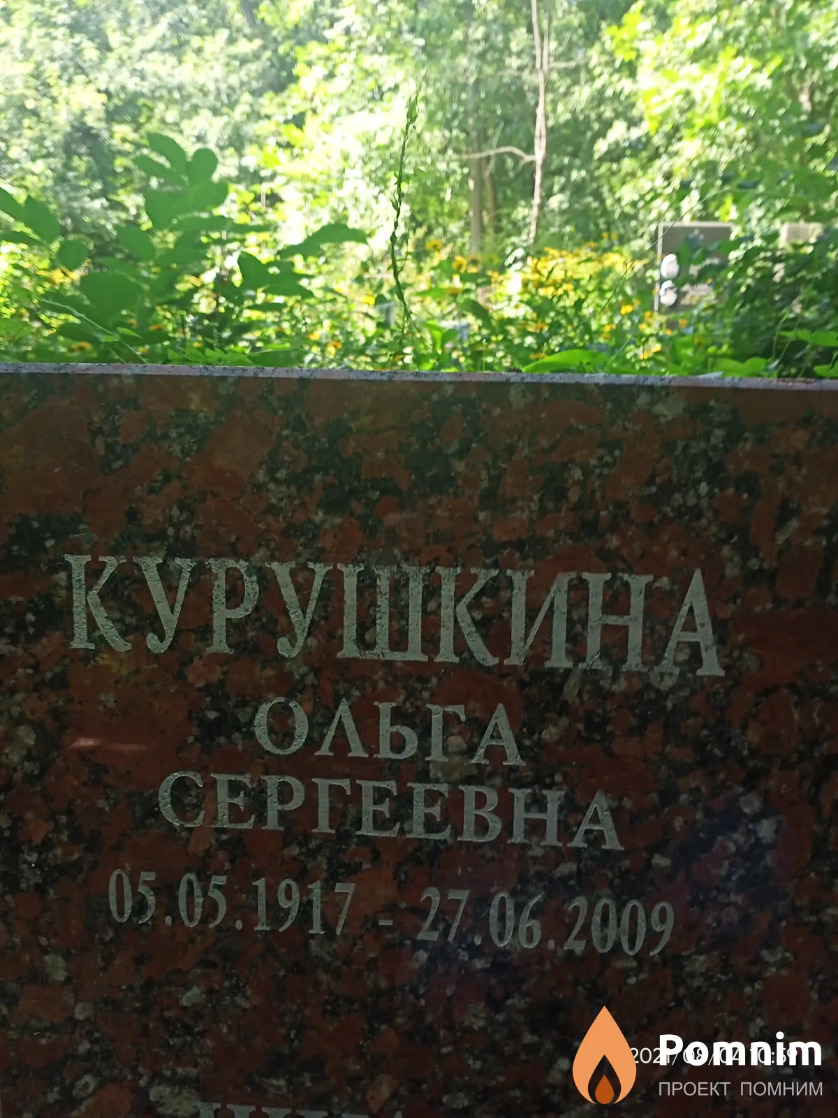 Курушкина Ольга Сергеевна