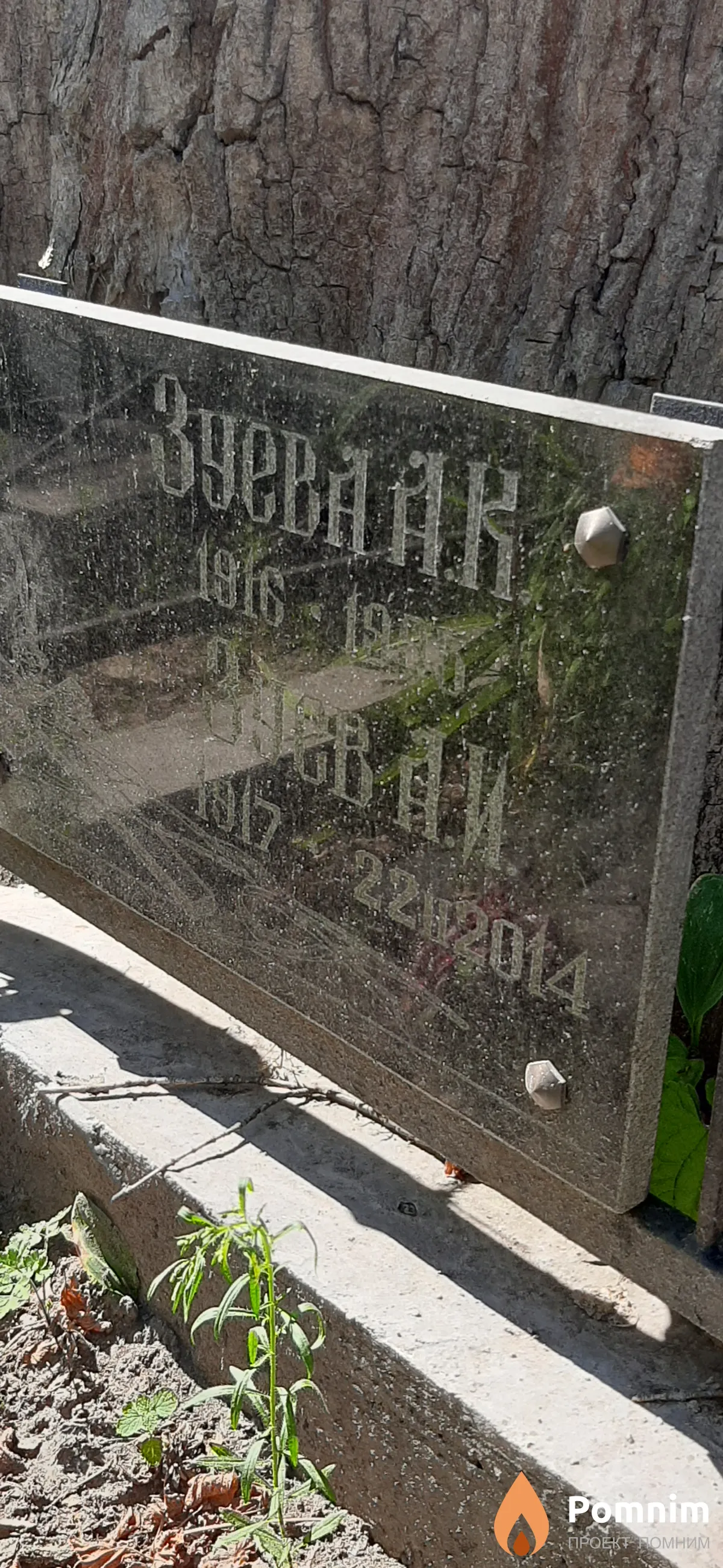 Зуева А. И.