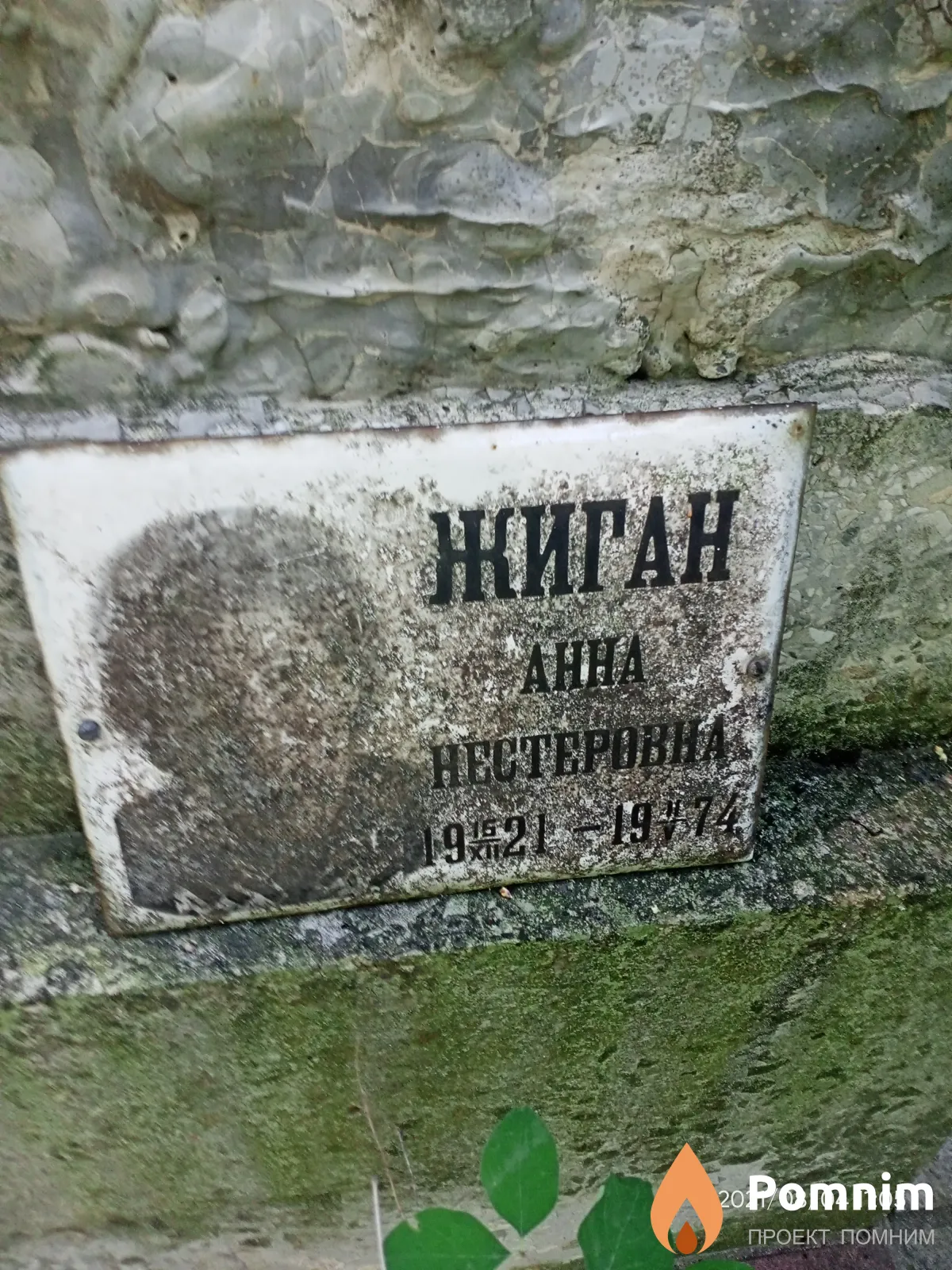 Жиган Анна Hecтеровна