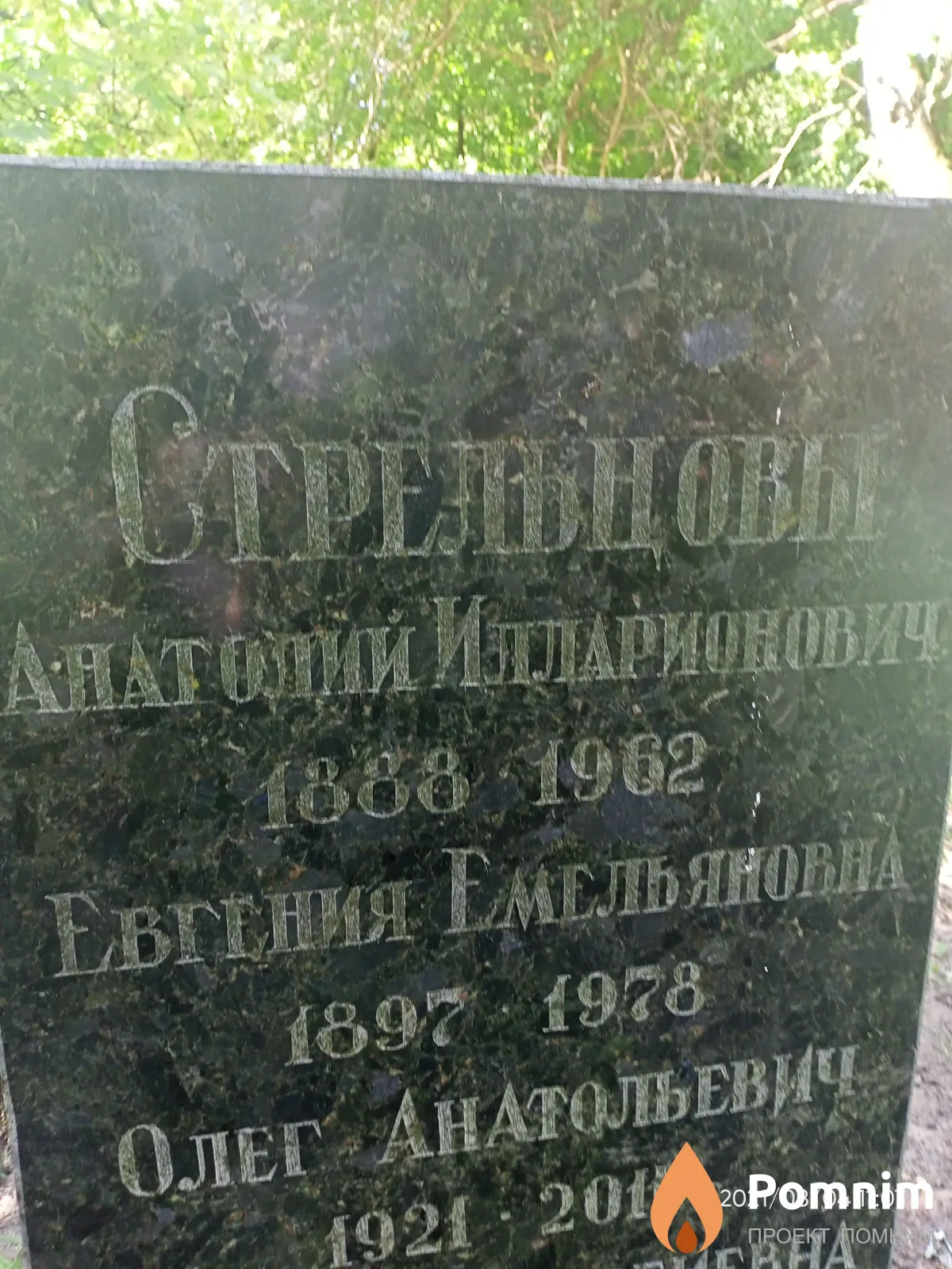 Стрельцов Анатолий Илларионович