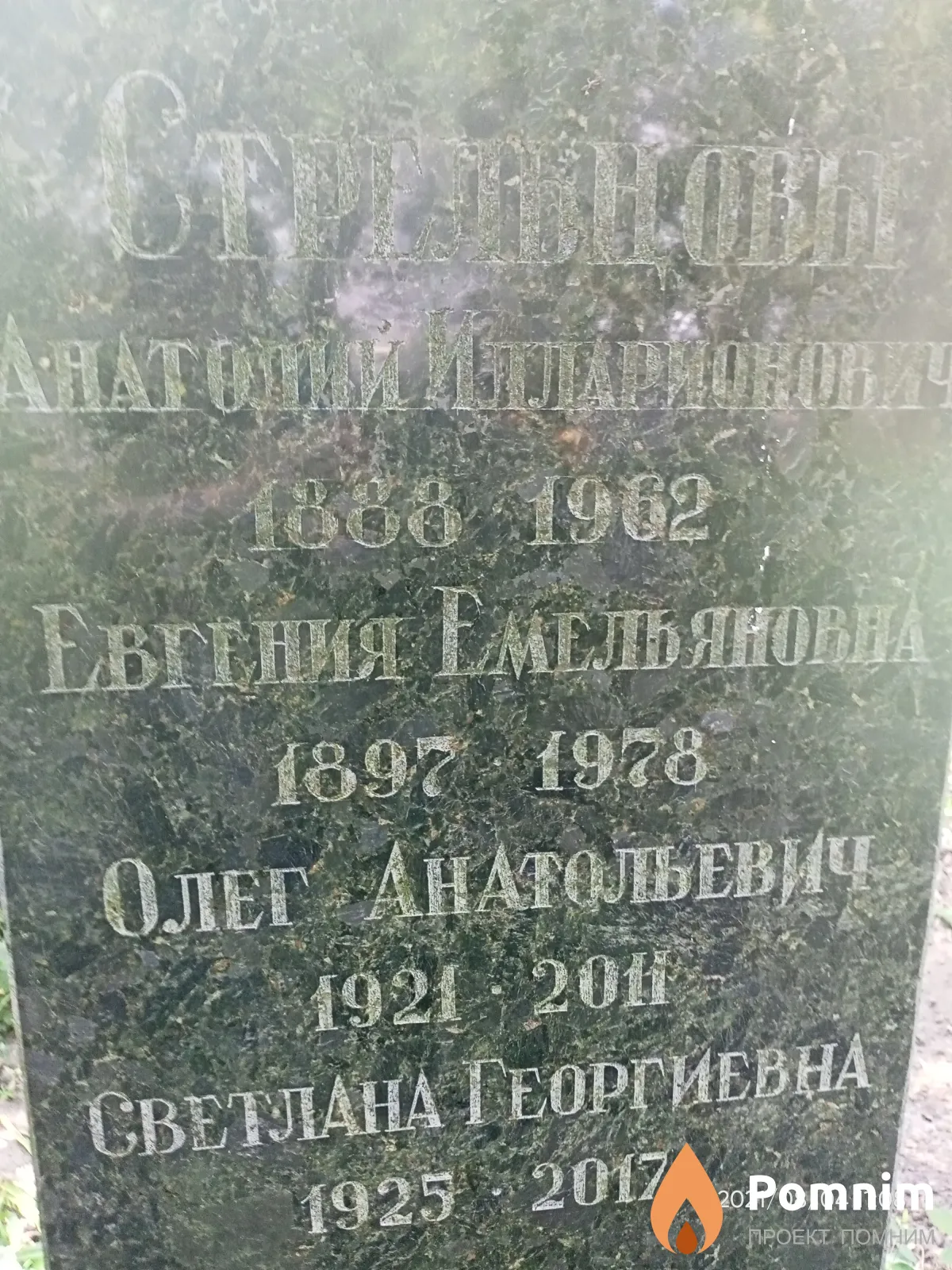 Стрельцова Евгения Емельянова