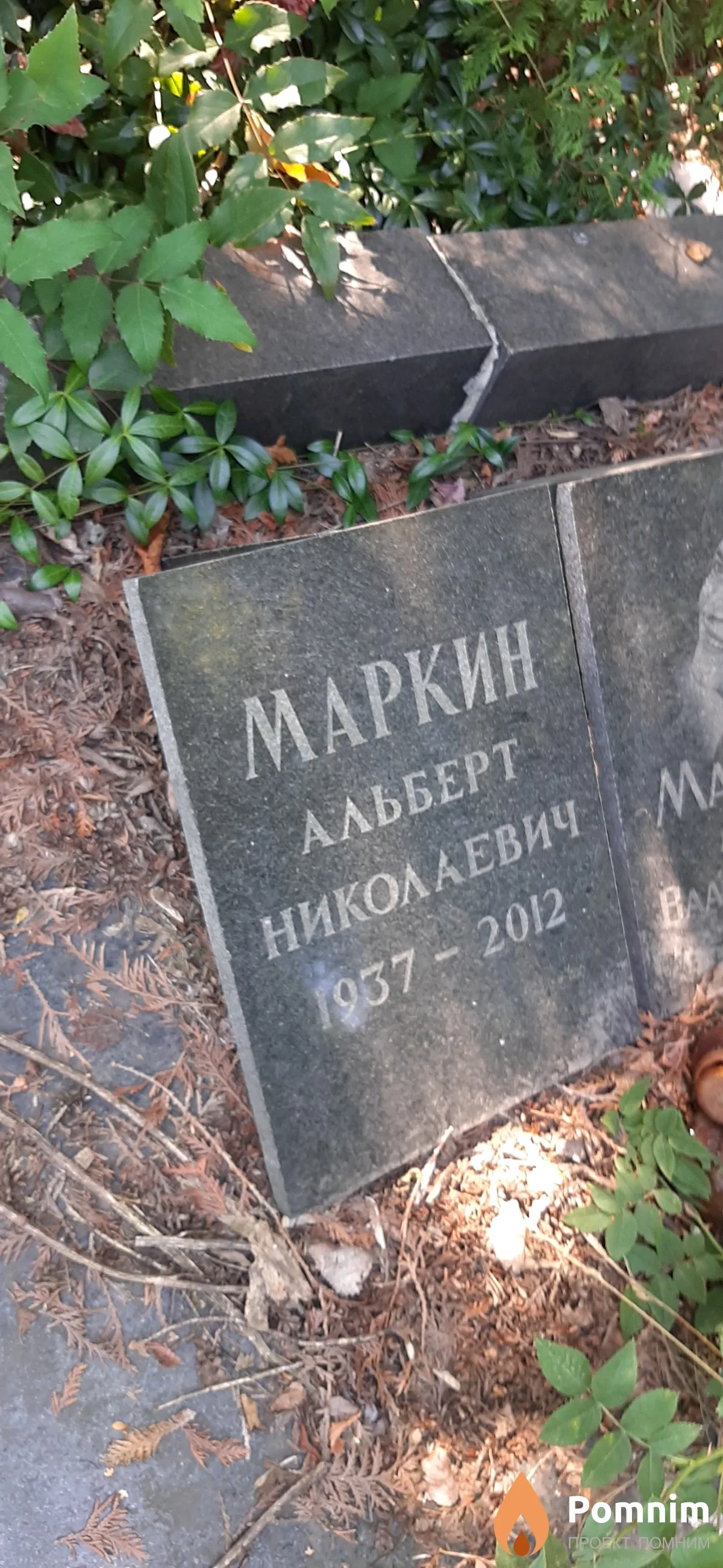 Маркин Альберт Николаевич