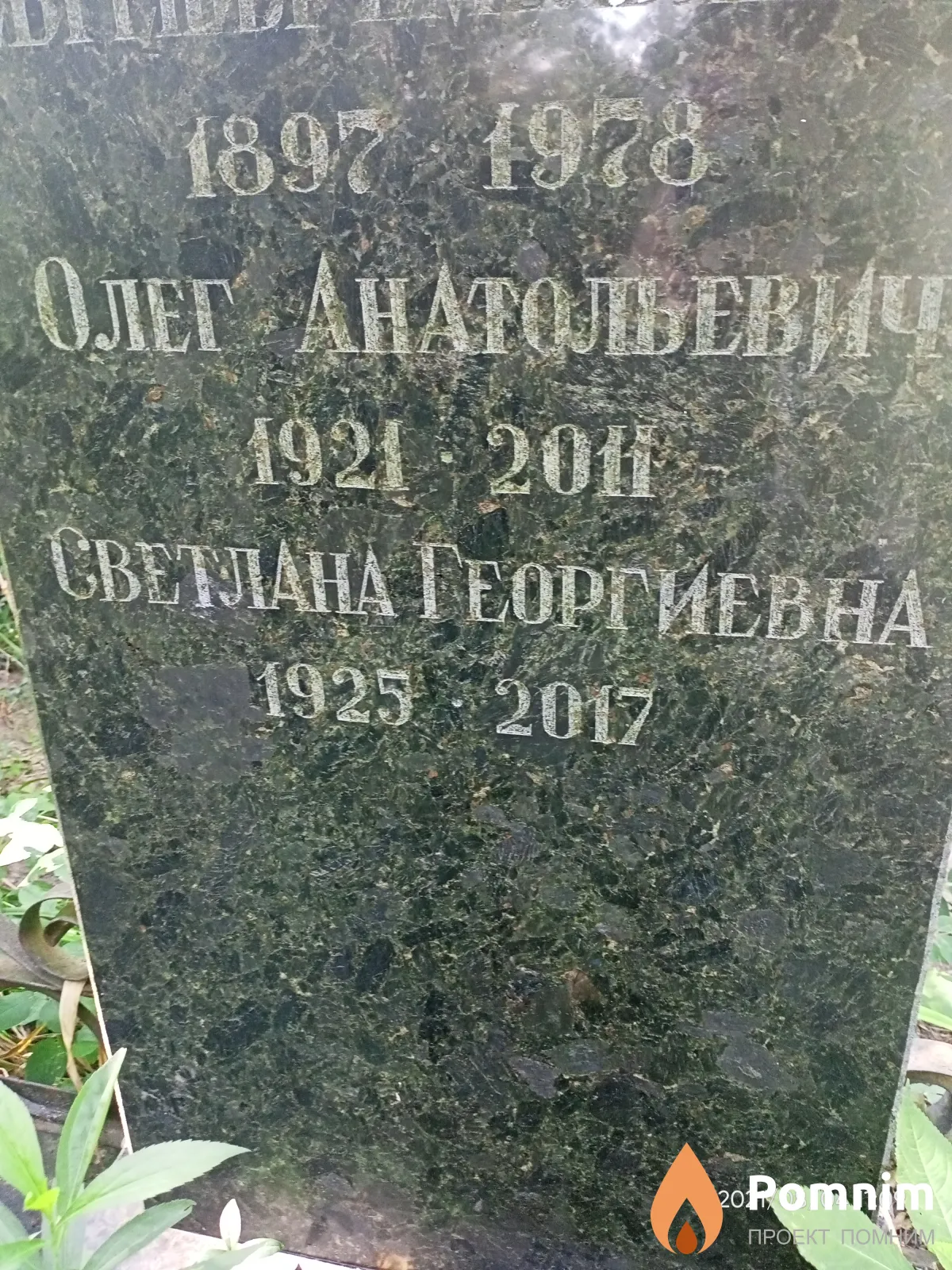 Стрельцова Светлана Георгиевна