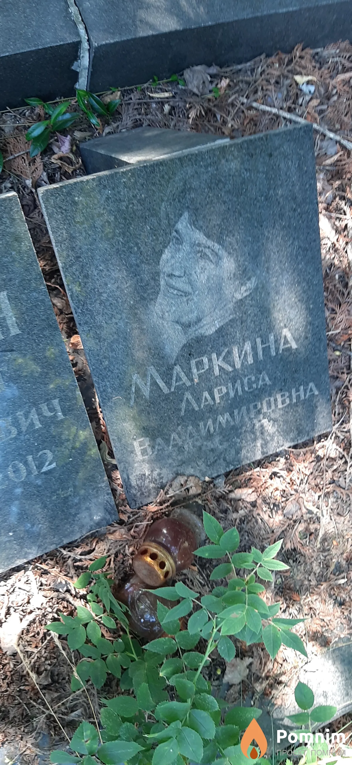 Маркина Лариса Владимировна