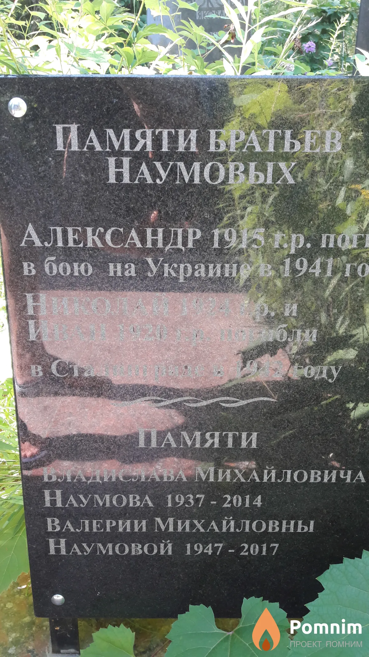 Наумов Александр